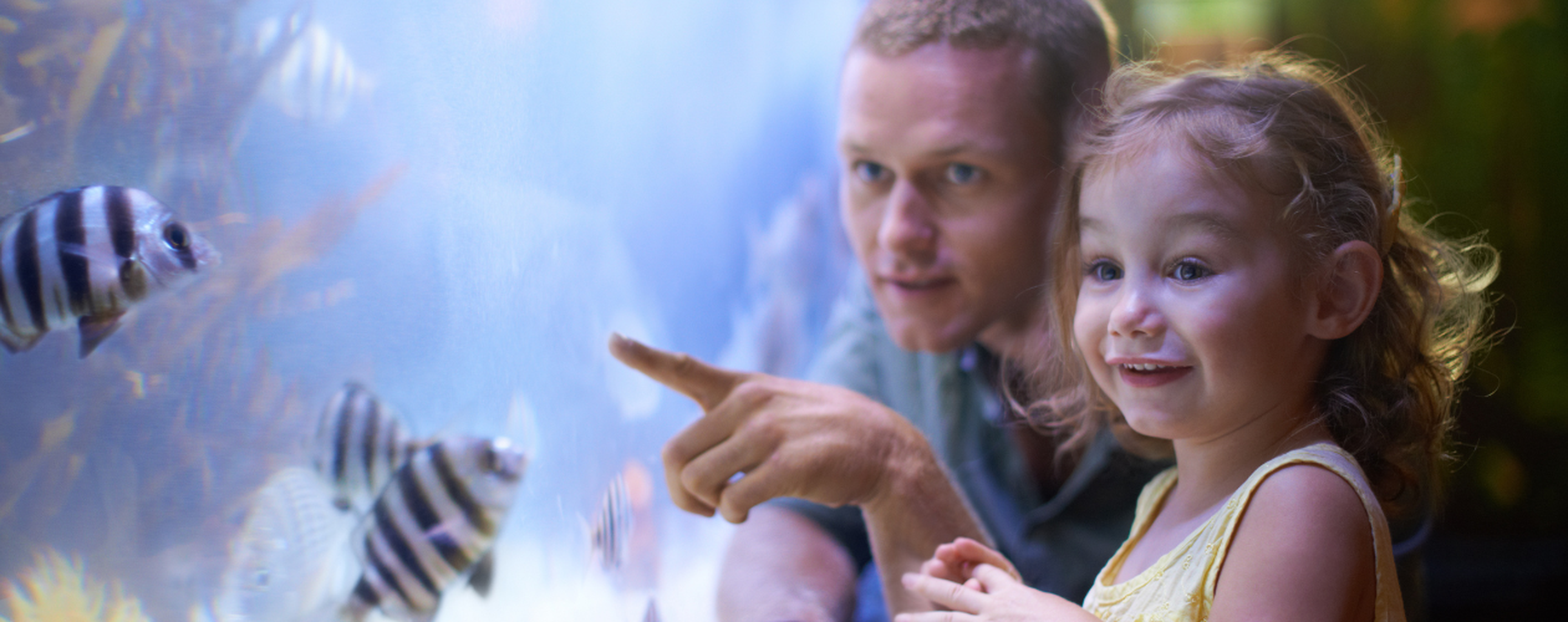 Man and young girl smiling at fish in an aquarium. The man points at striped fish while the girl looks amazed.