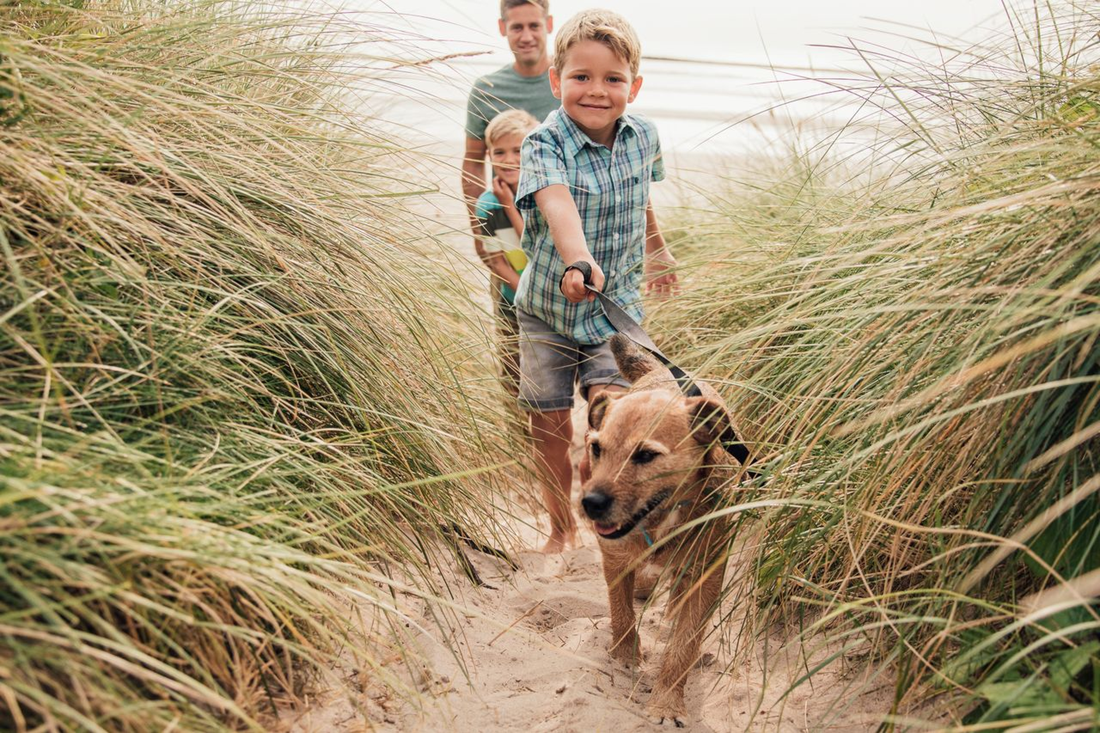 Young boy leads a dog on a leash through tall grass, followed by a man and another child, walking along a sandy path near the beach.