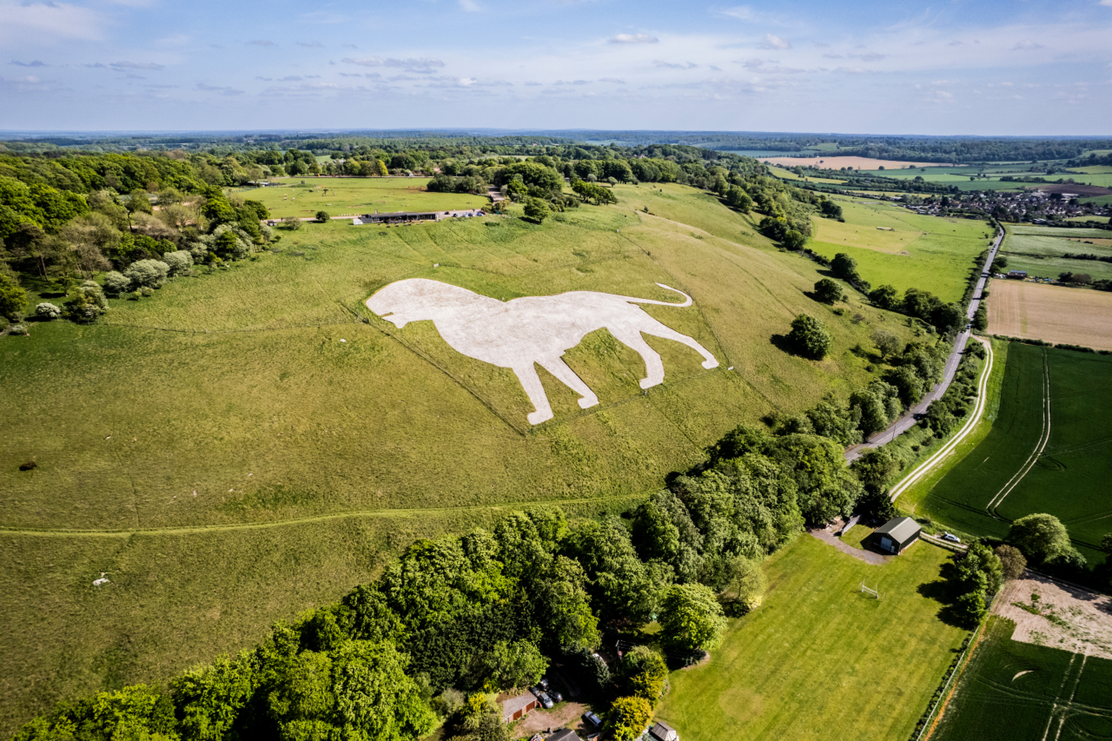 An aerial view of a large, white chalk dog figure on a grassy hillside, surrounded by lush green fields and trees under a blue sky.