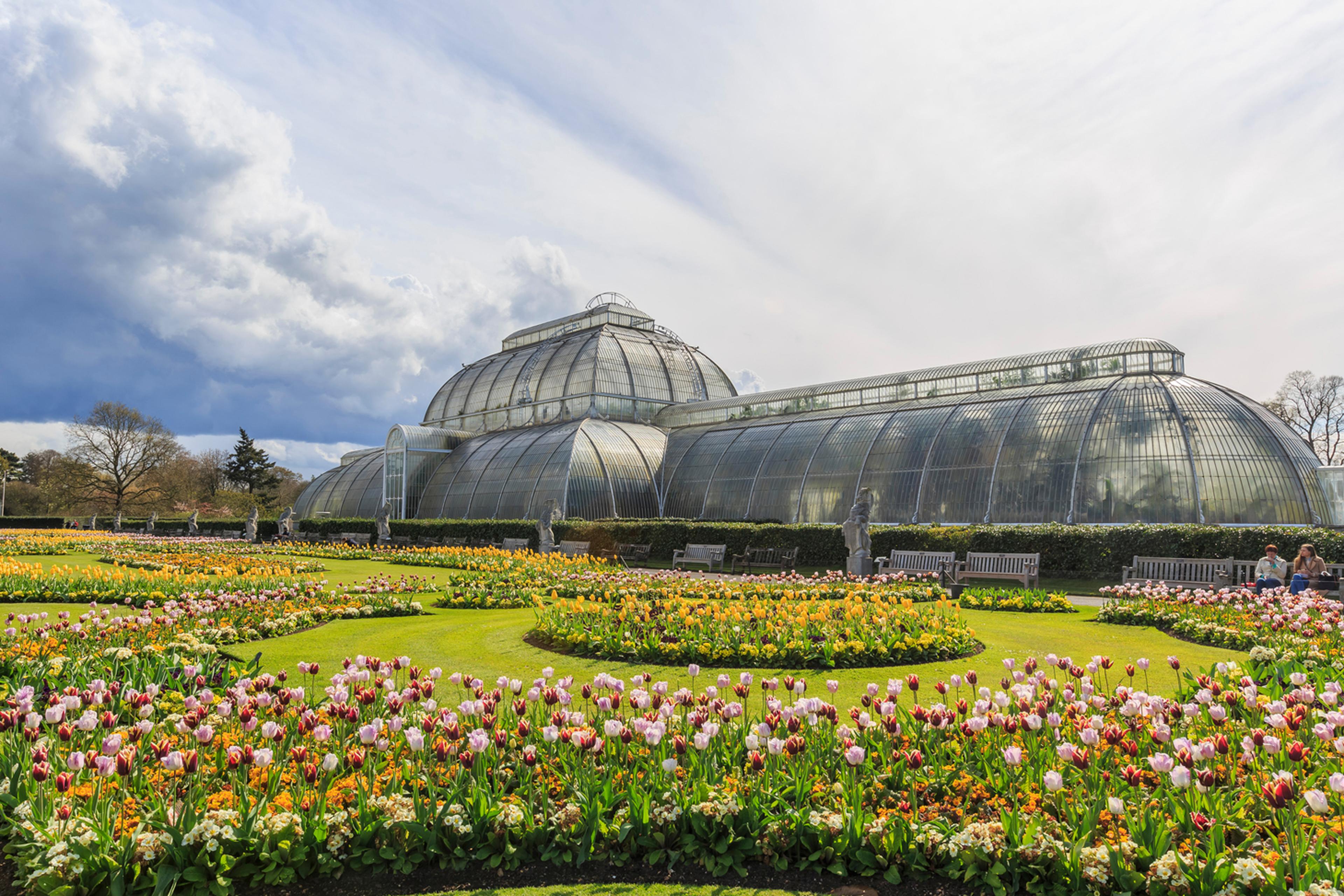Image showing the Palm House