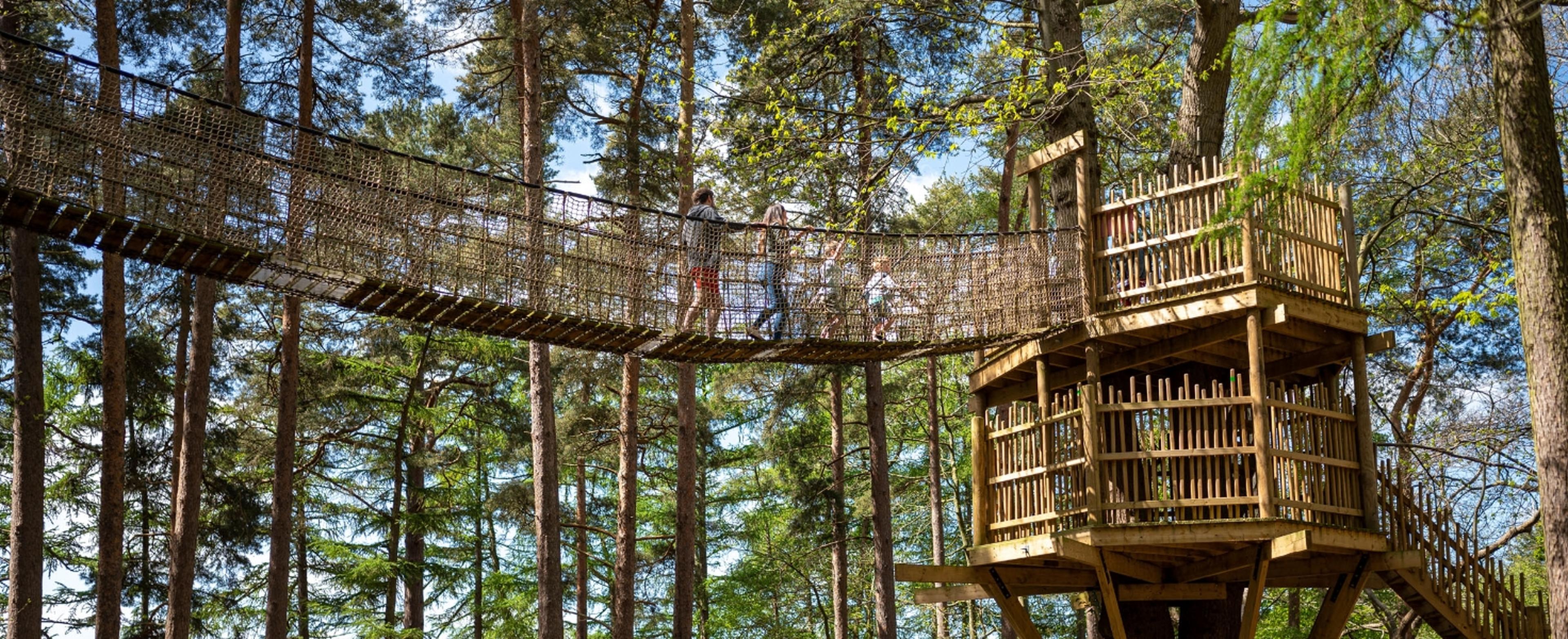 outdoor adventure park at BeWILDerwood Norfolk