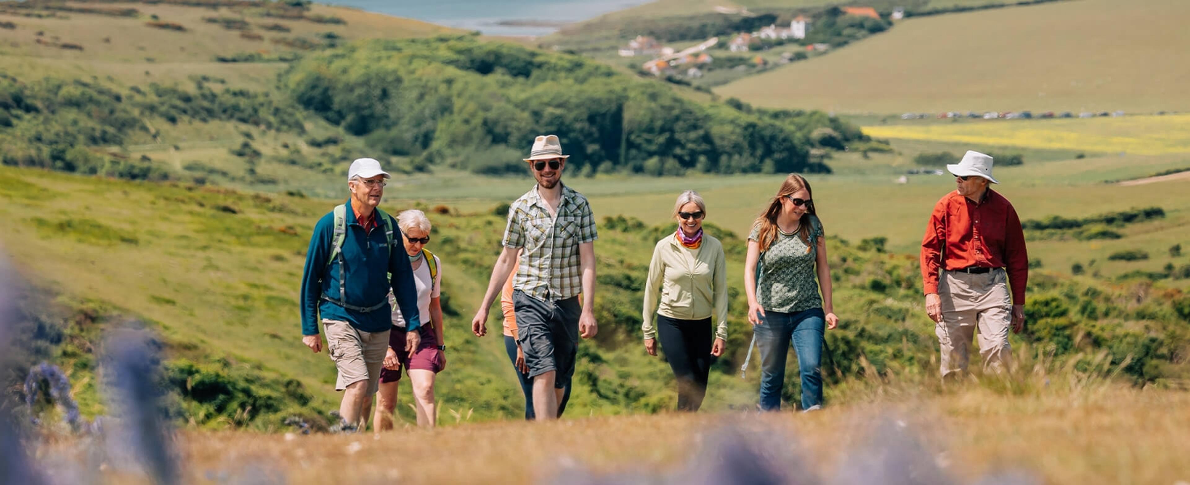 Walking walking on a hillside on a summer's day