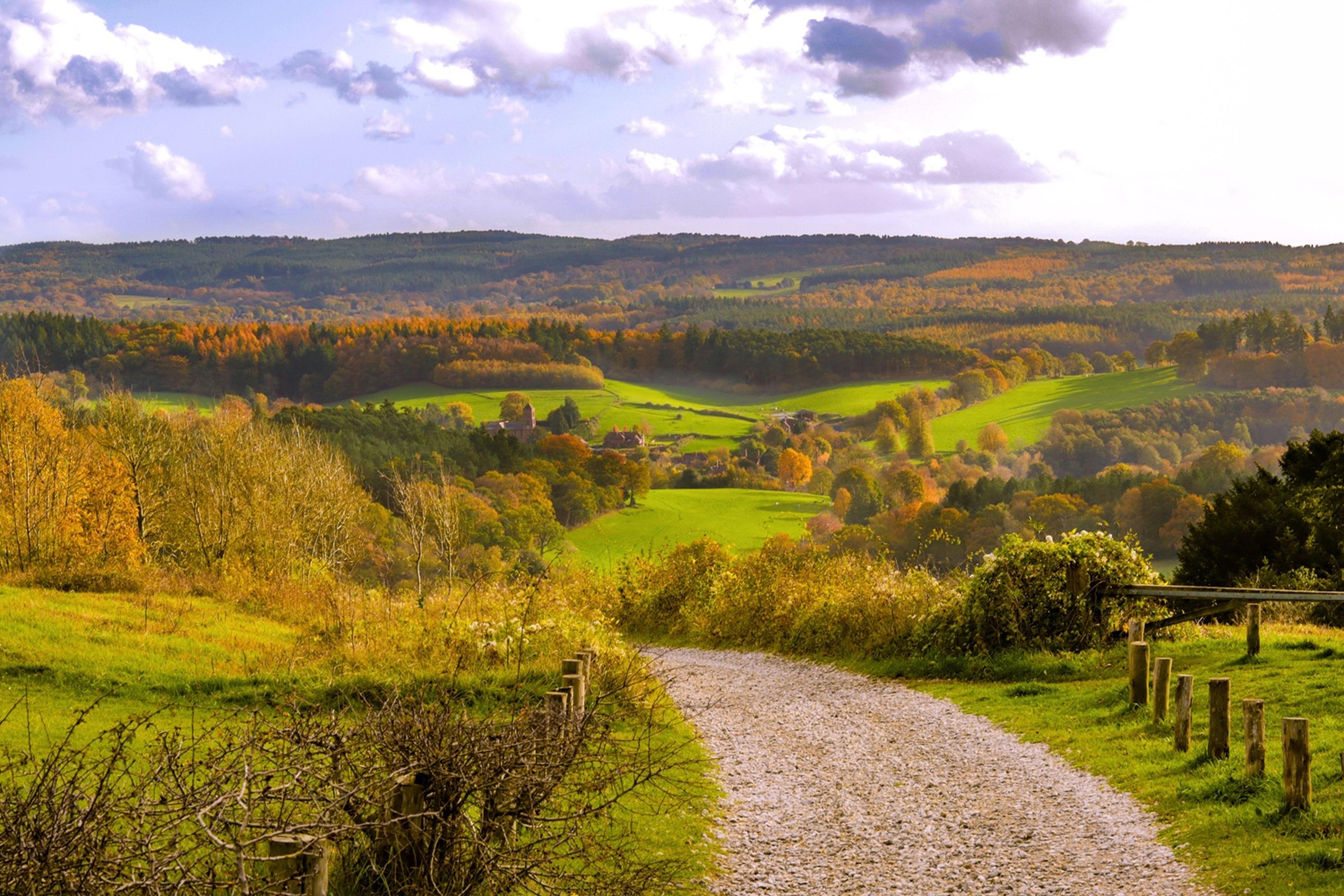 A scenic landscape with a gravel path winding through rolling hills