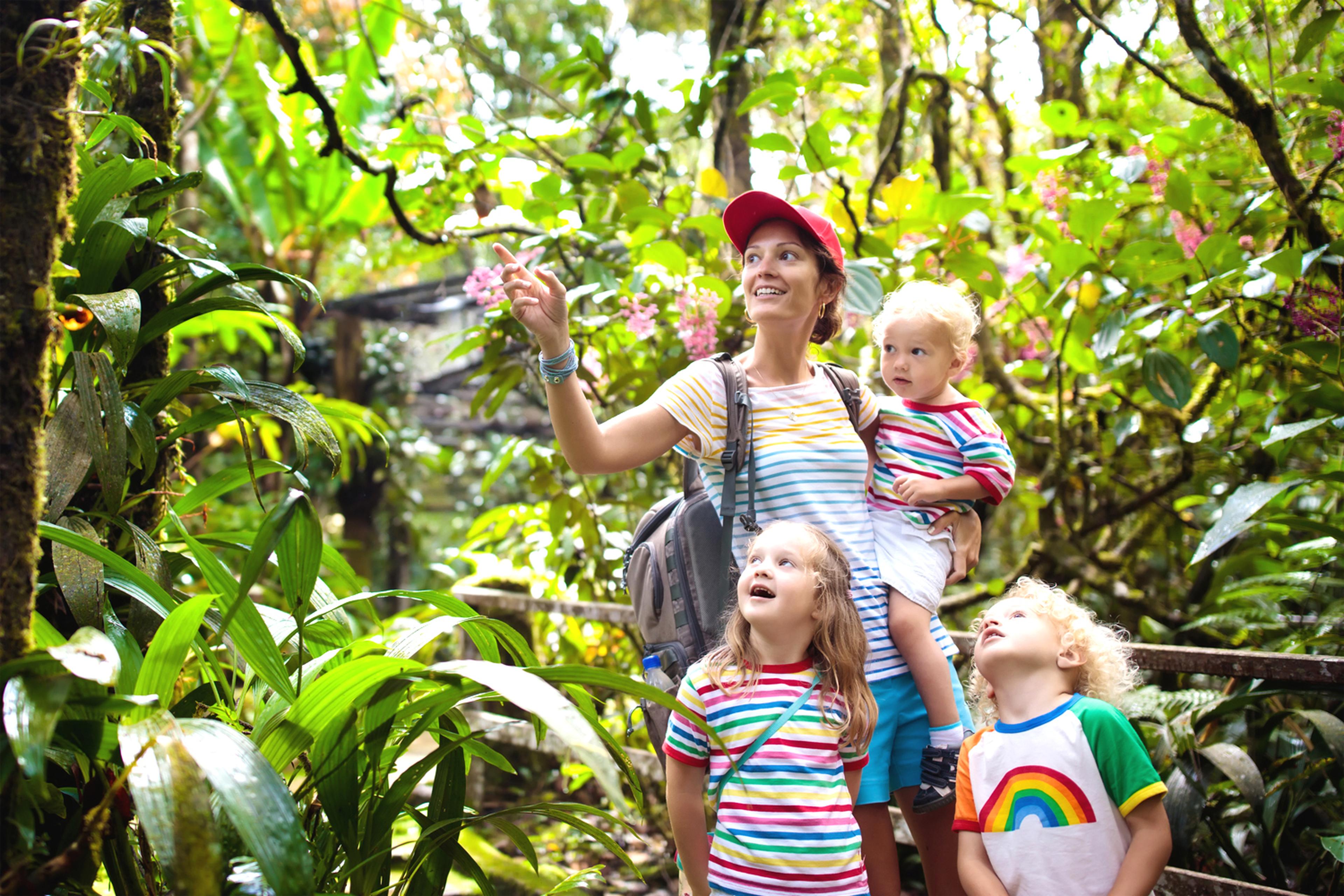 A woman and three children in colorful striped shirts explore a lush, tropical forest, surrounded by vibrant green foliage and flowers.