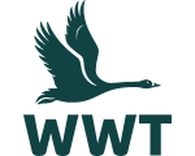 WWT logo