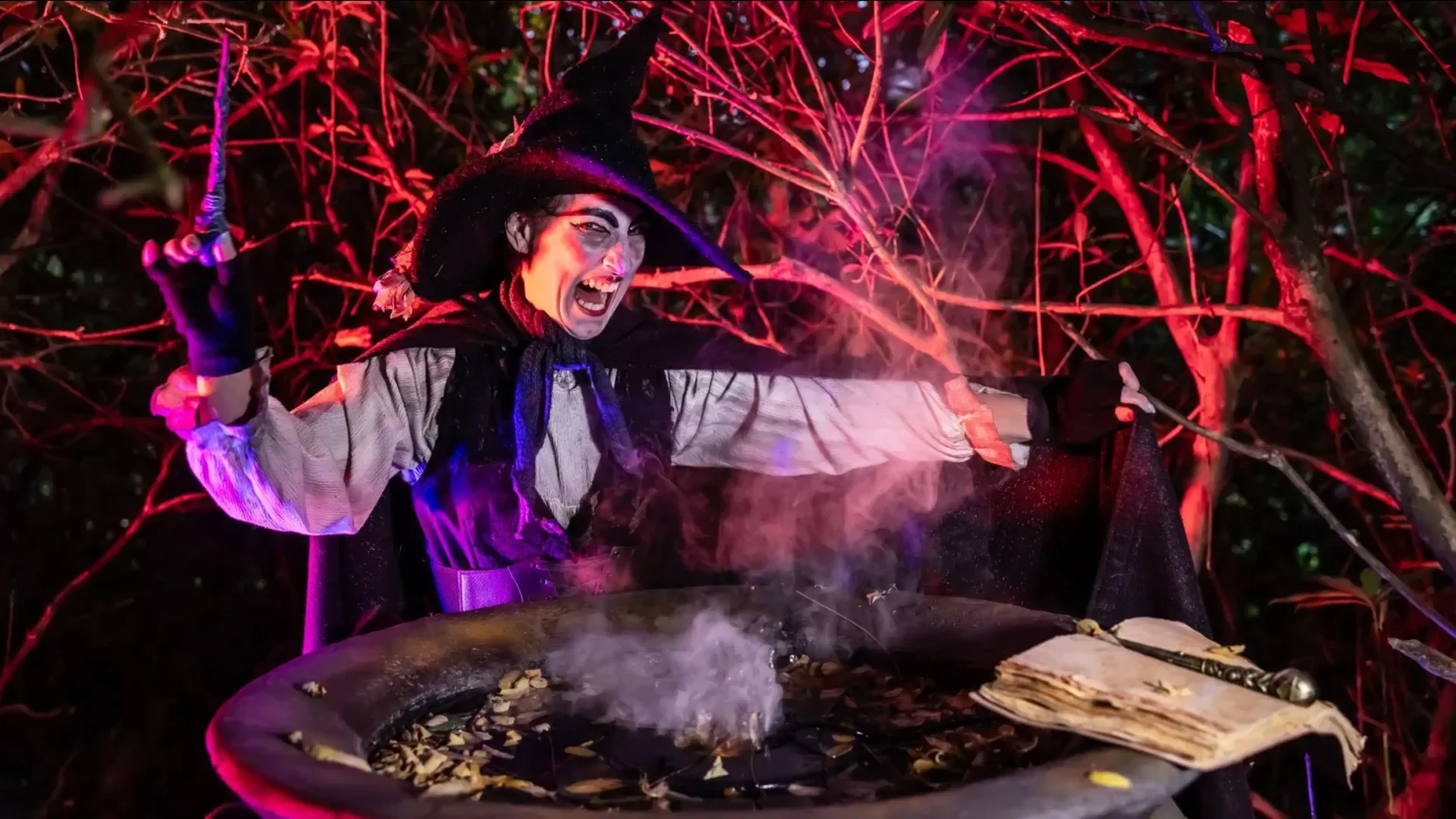 A witch in a pointed hat and costume performs beside a steaming cauldron in a dark, atmospheric woodland illuminated by red and purple lights.