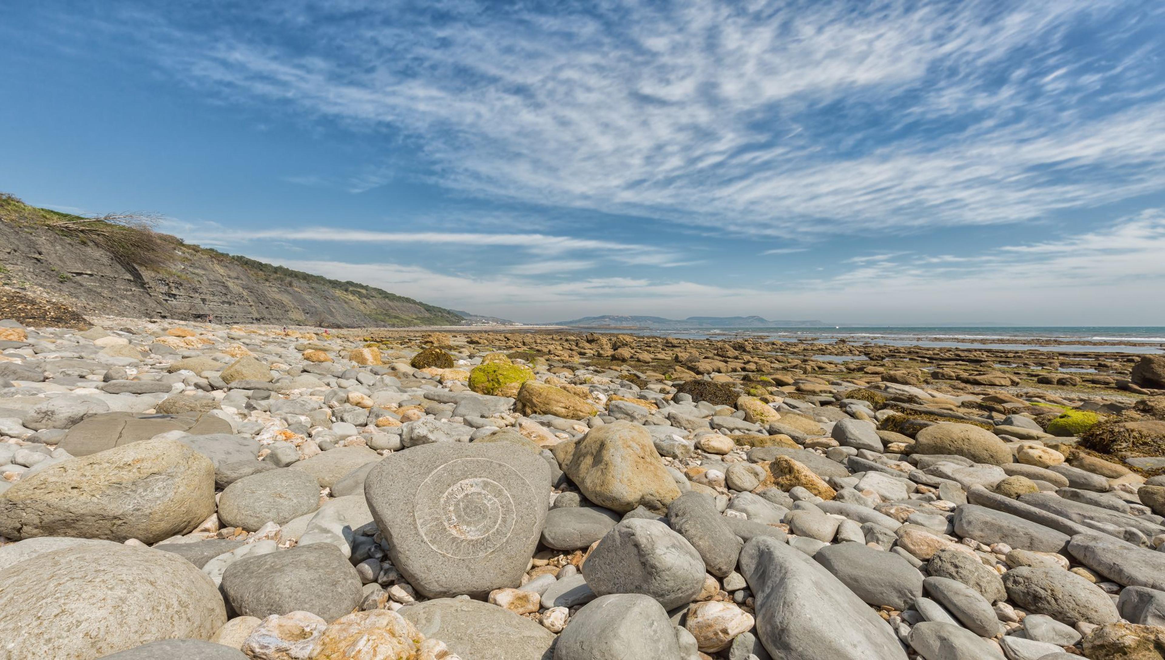 fossil hunting