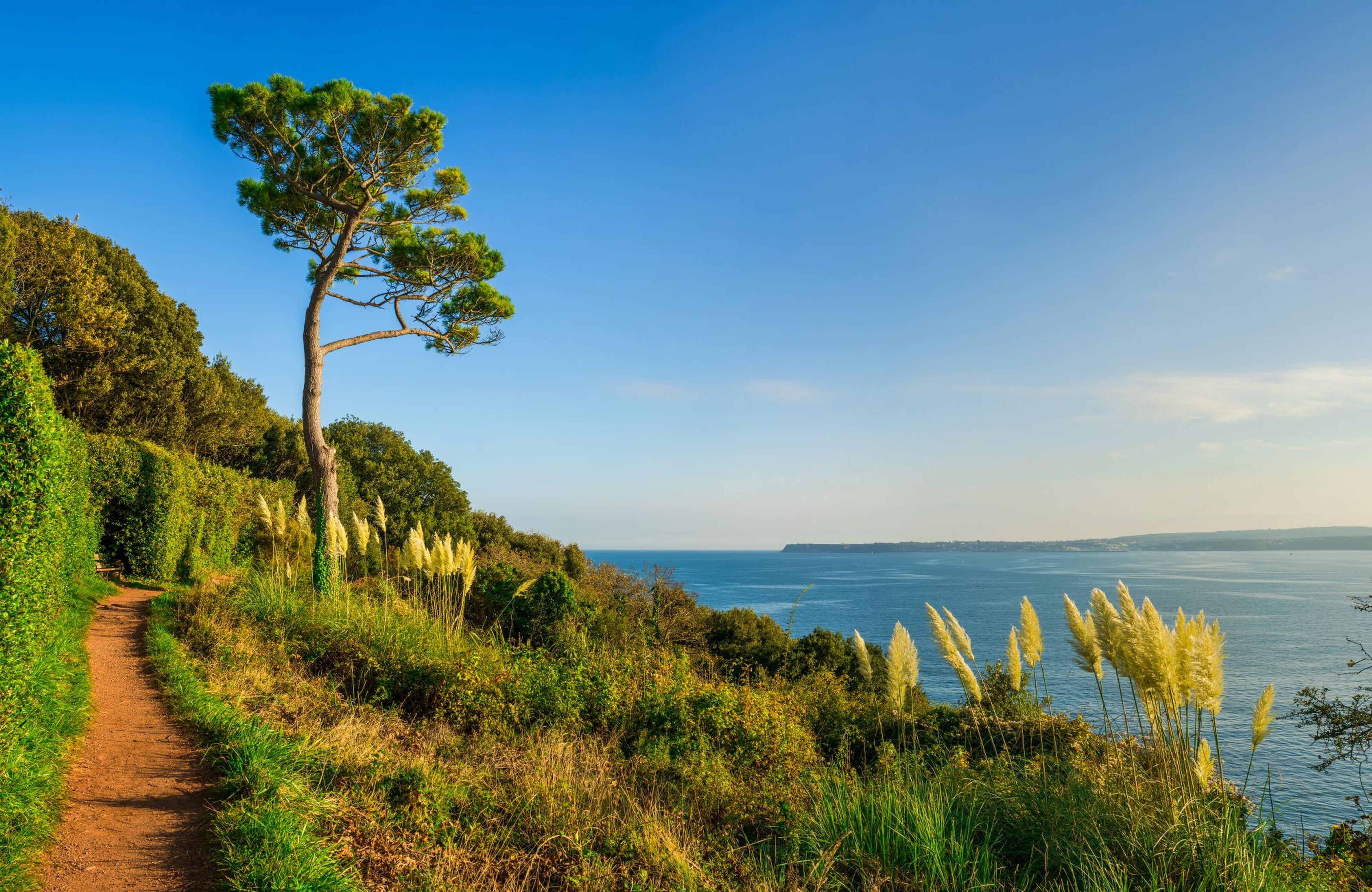 South west coast path