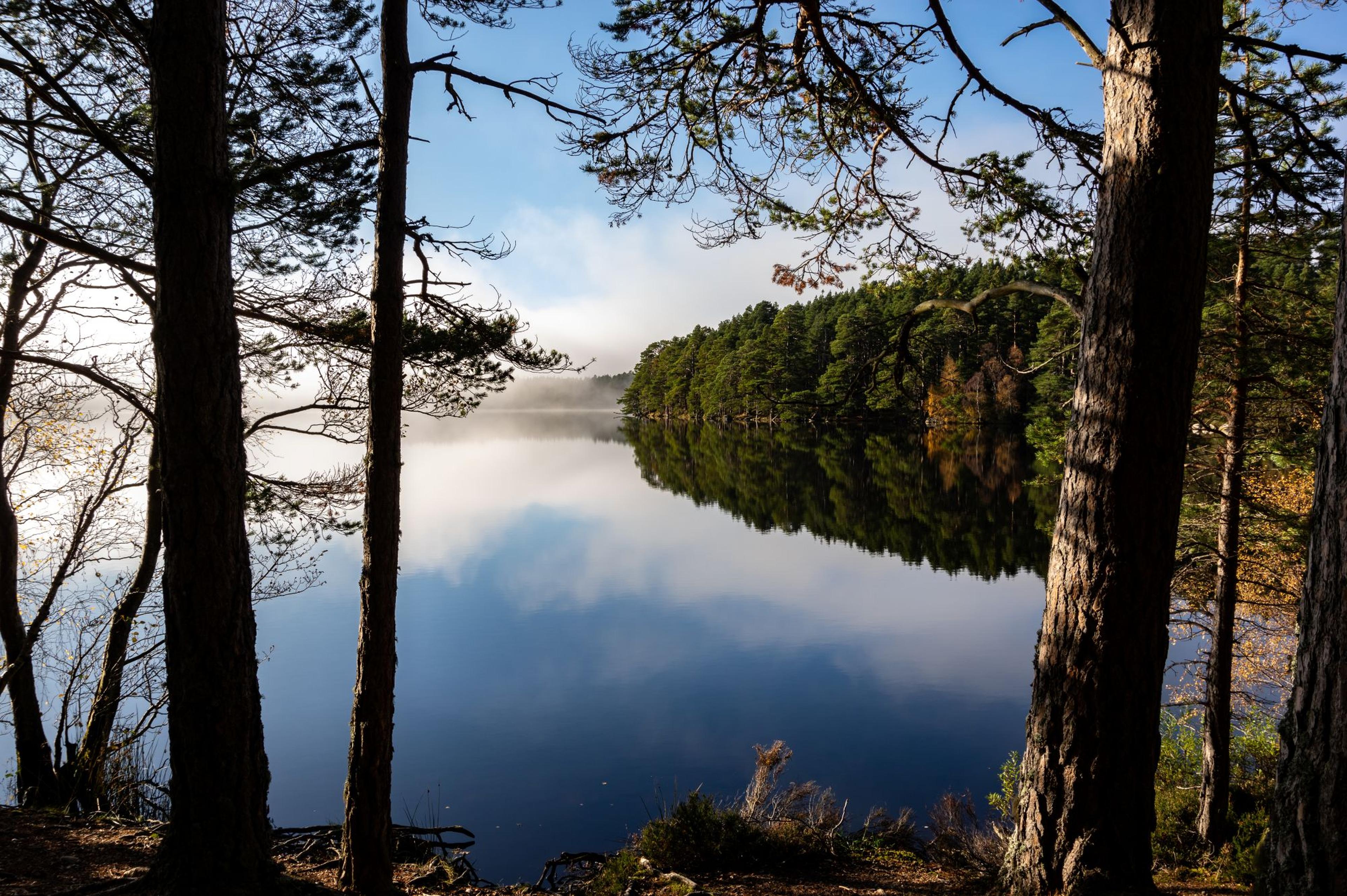 loch garten