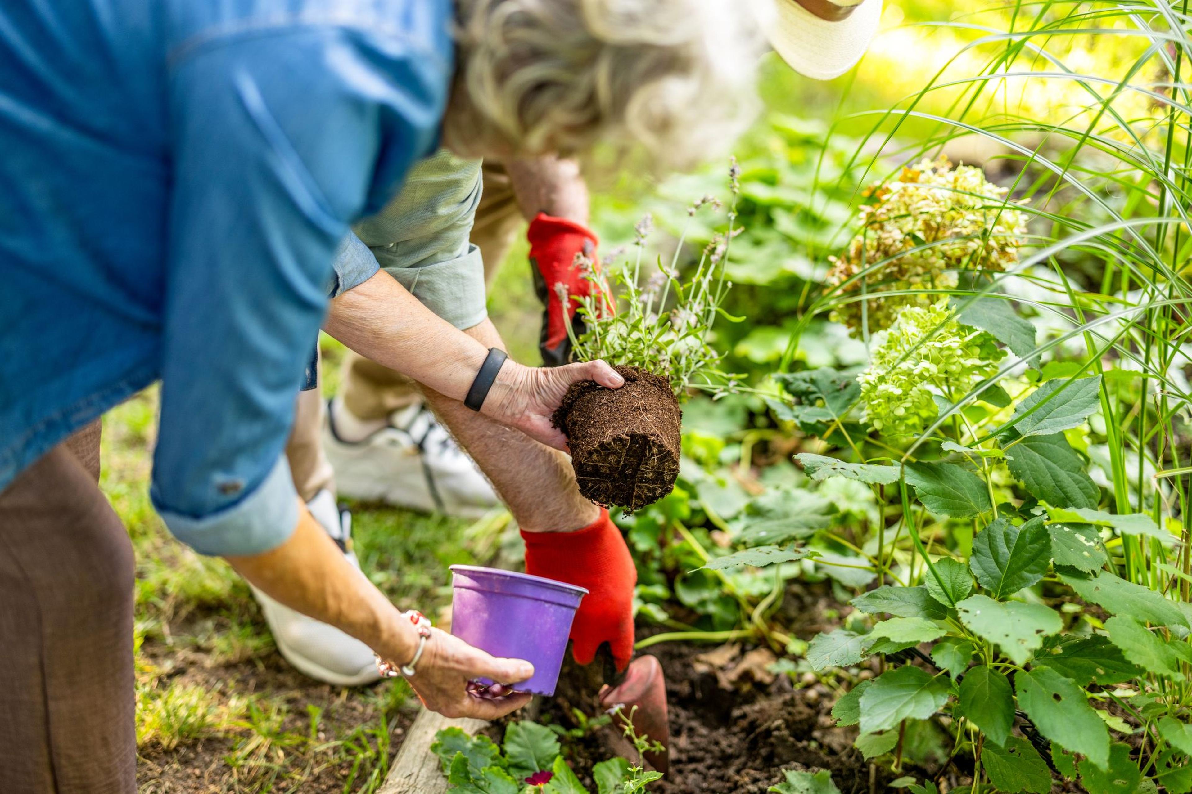 gardening couple