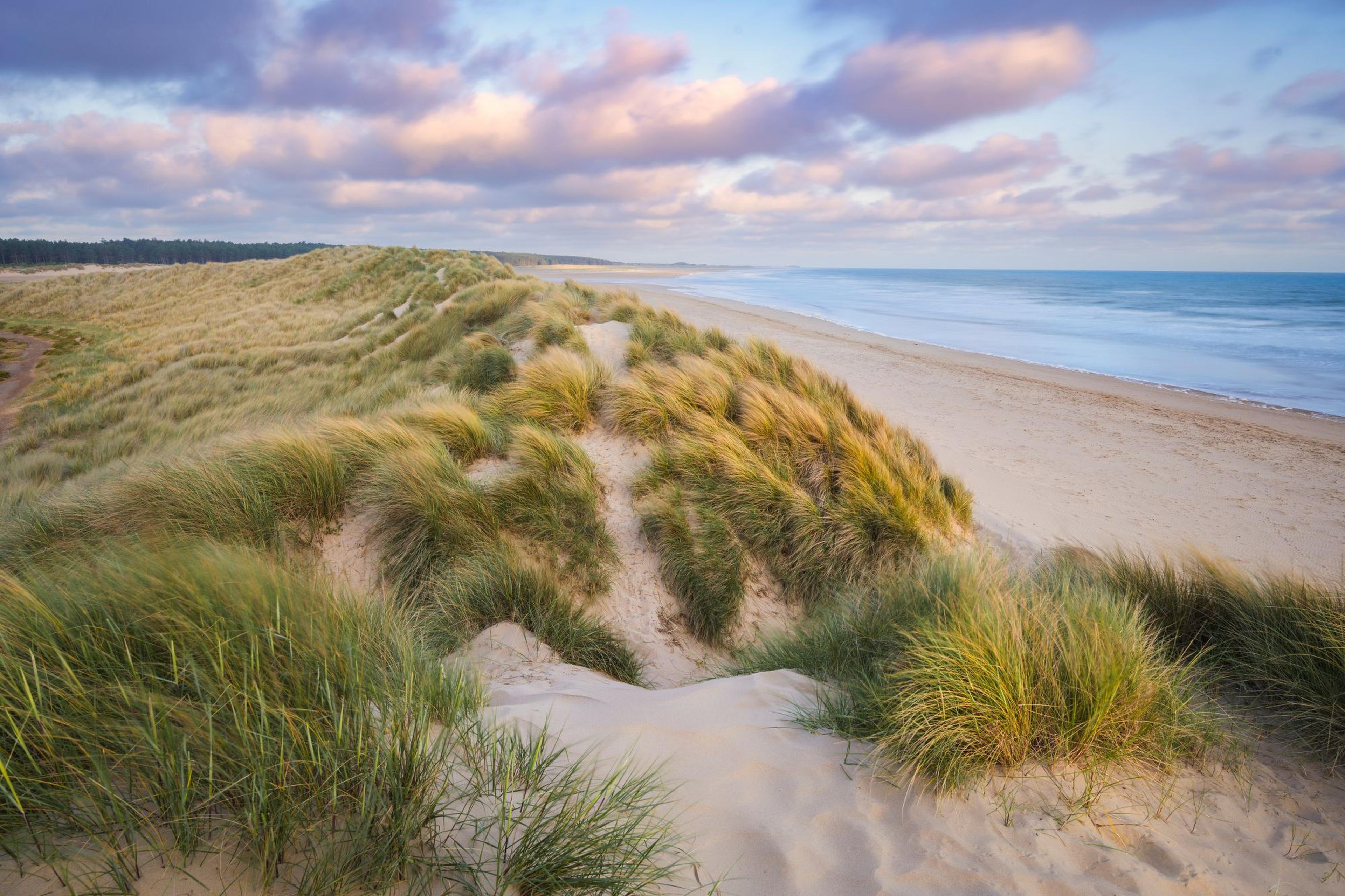 norfolk