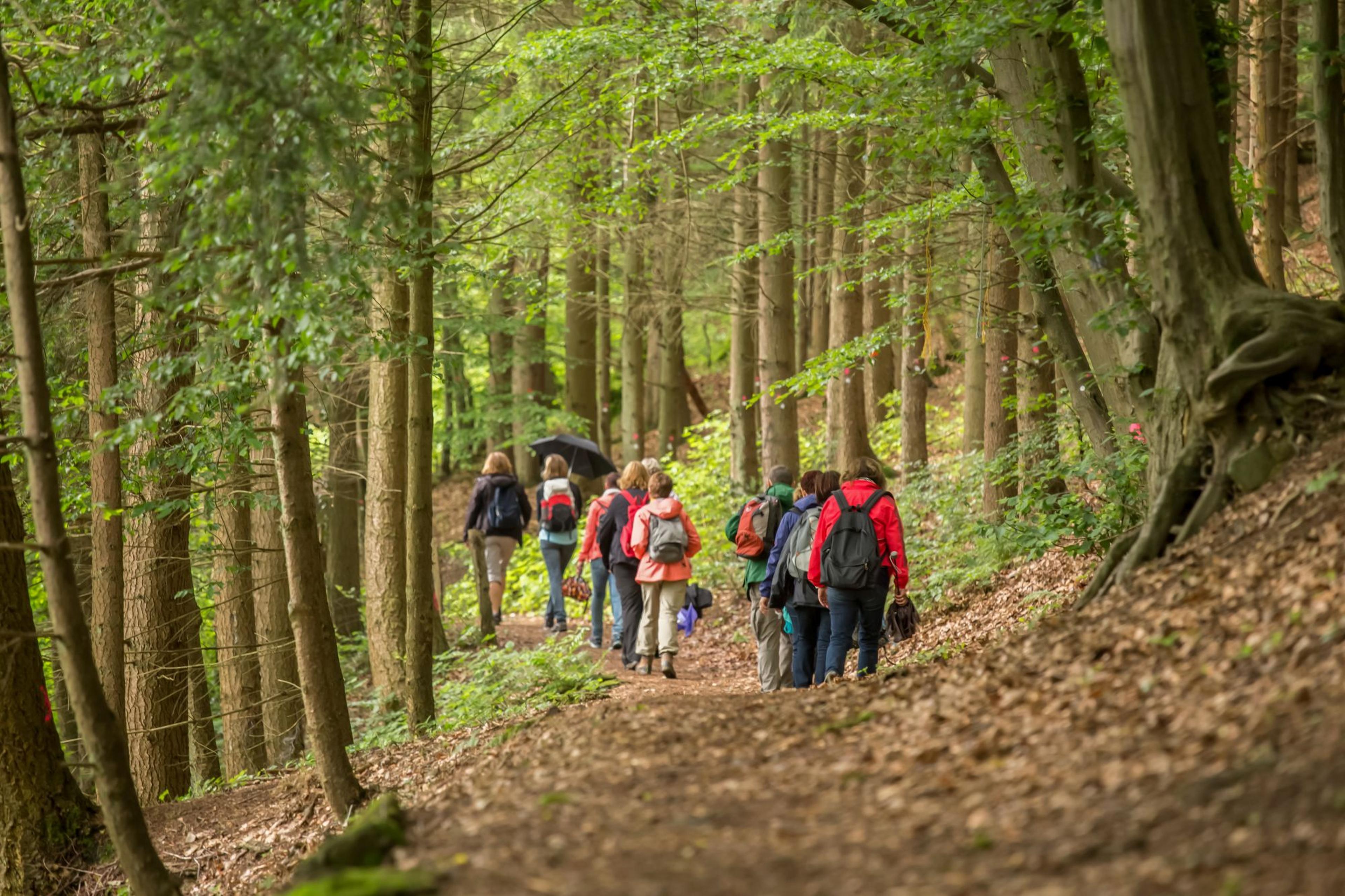 walking group