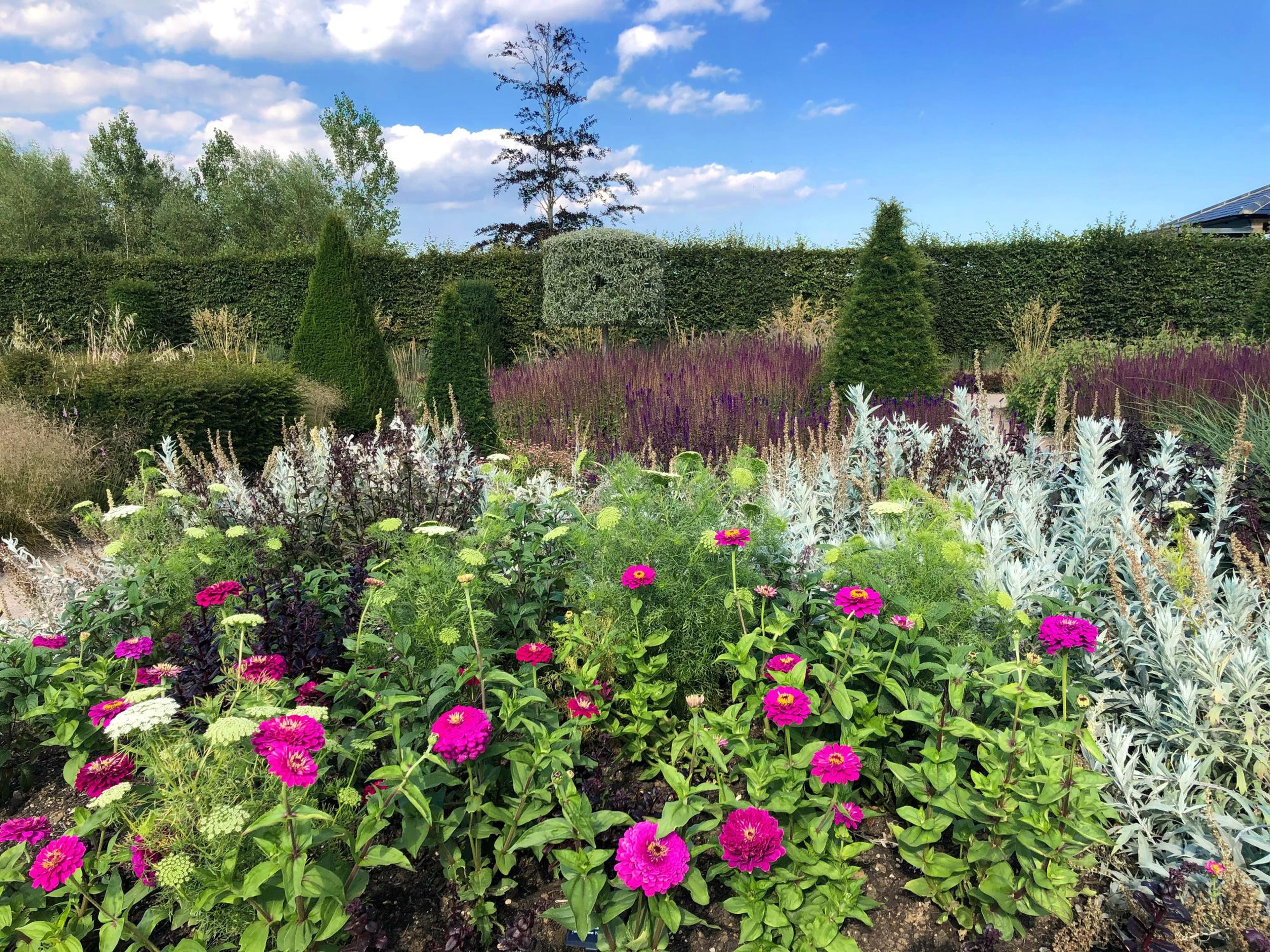RHS nurseries