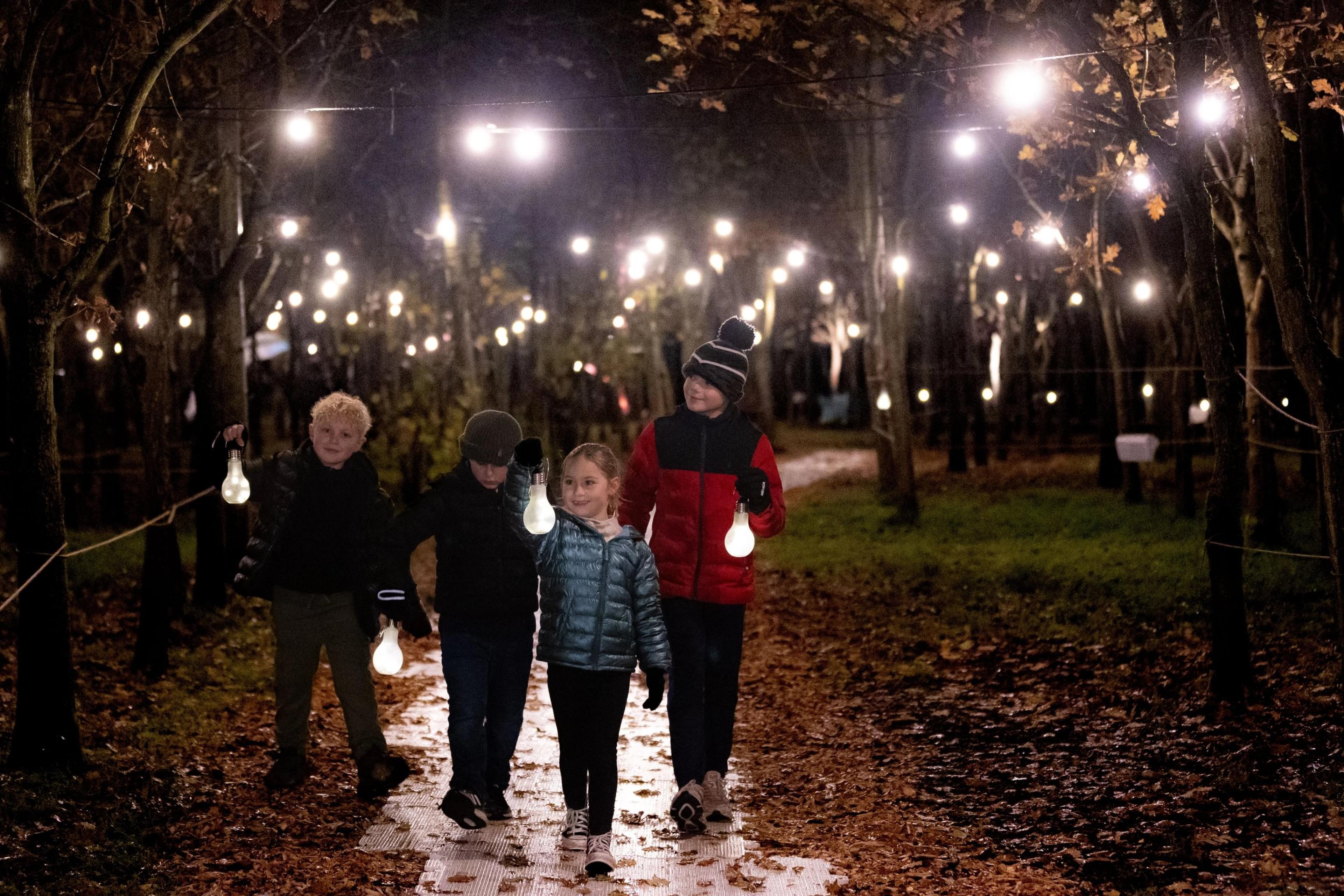 Illuminated at National Memorial Arboretum