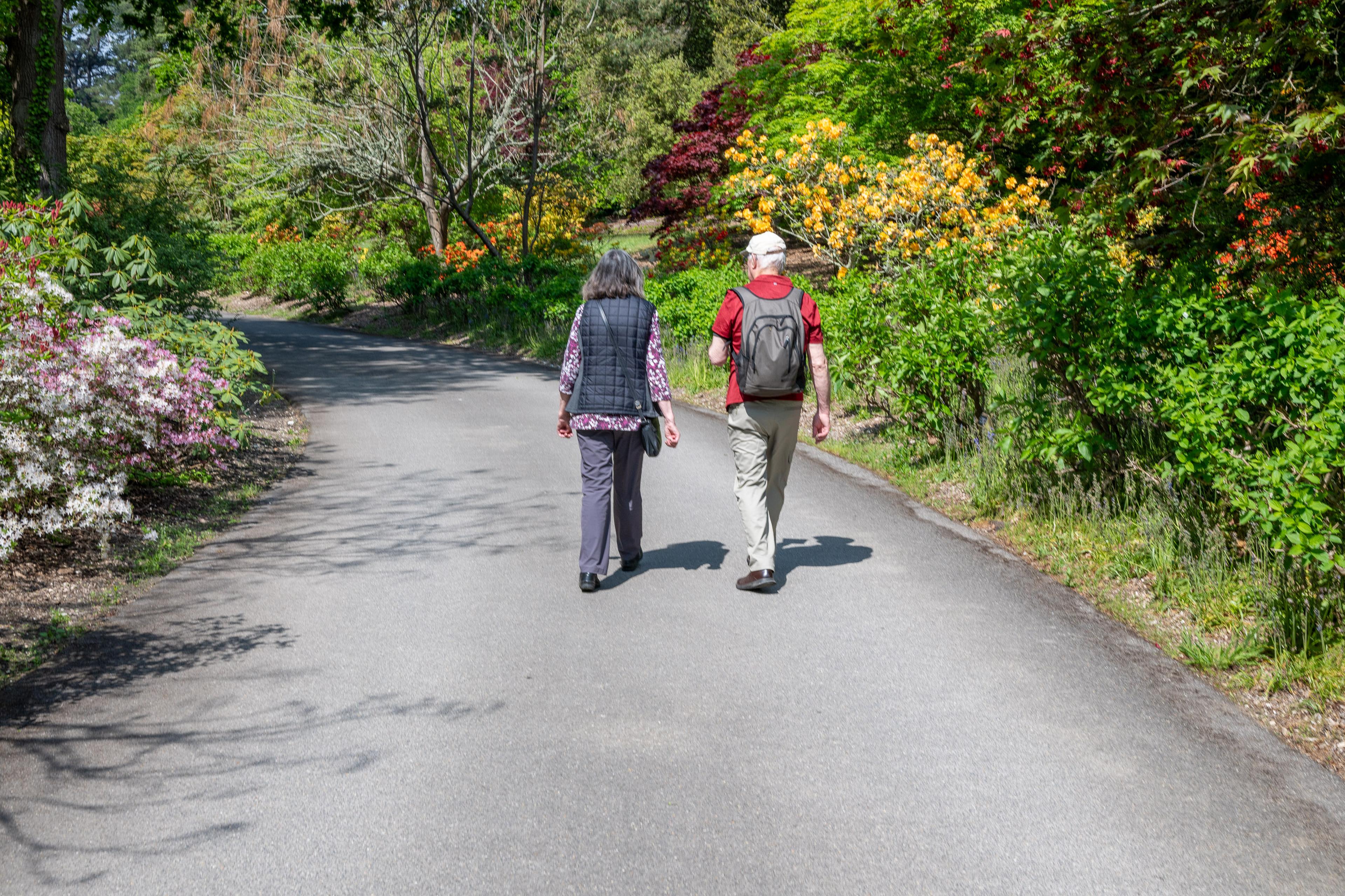 Two people walking along a path through a beautiful garden