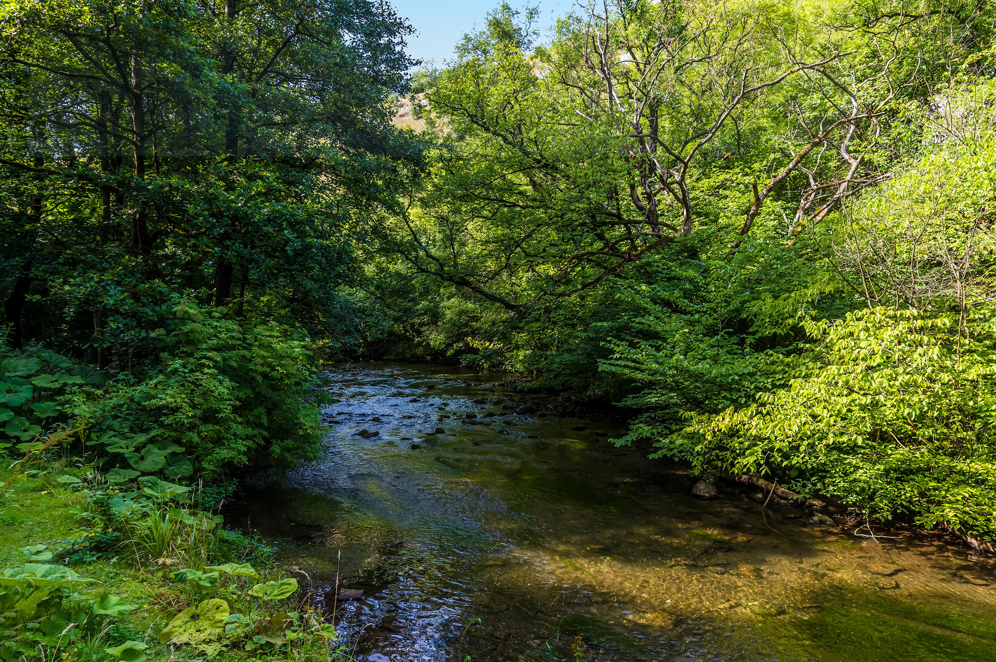 River Wye