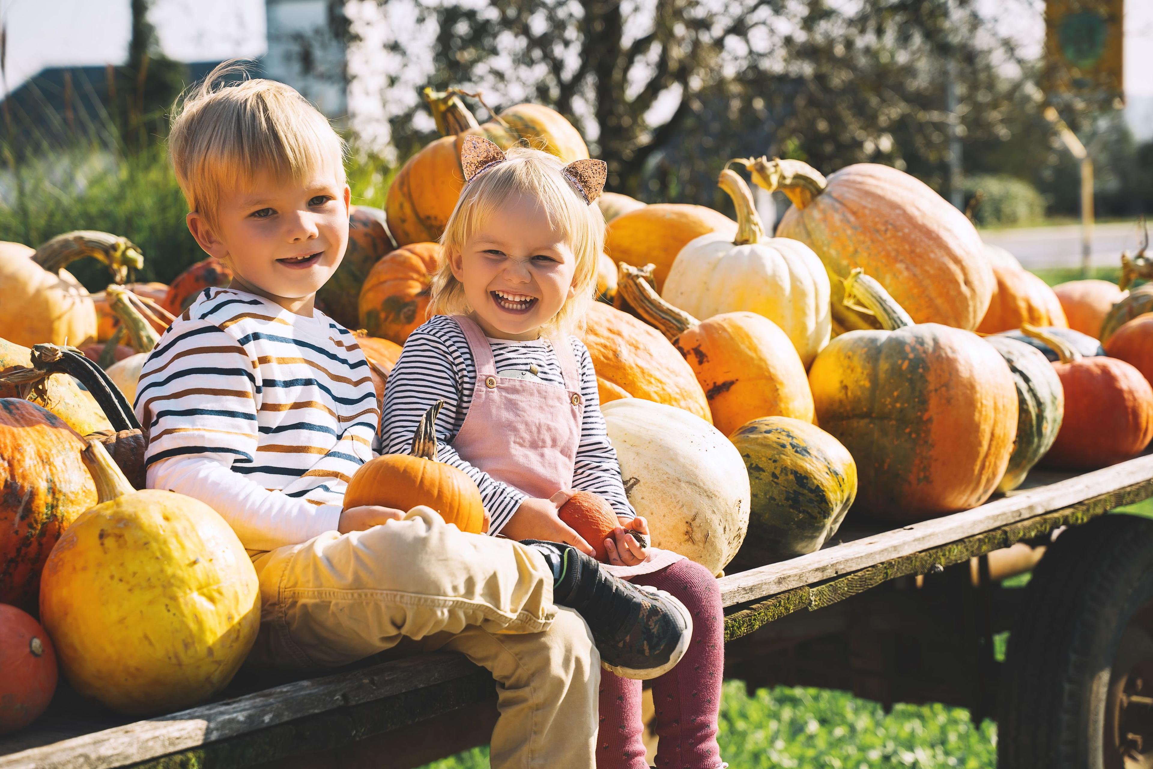 What’s on this Halloween?