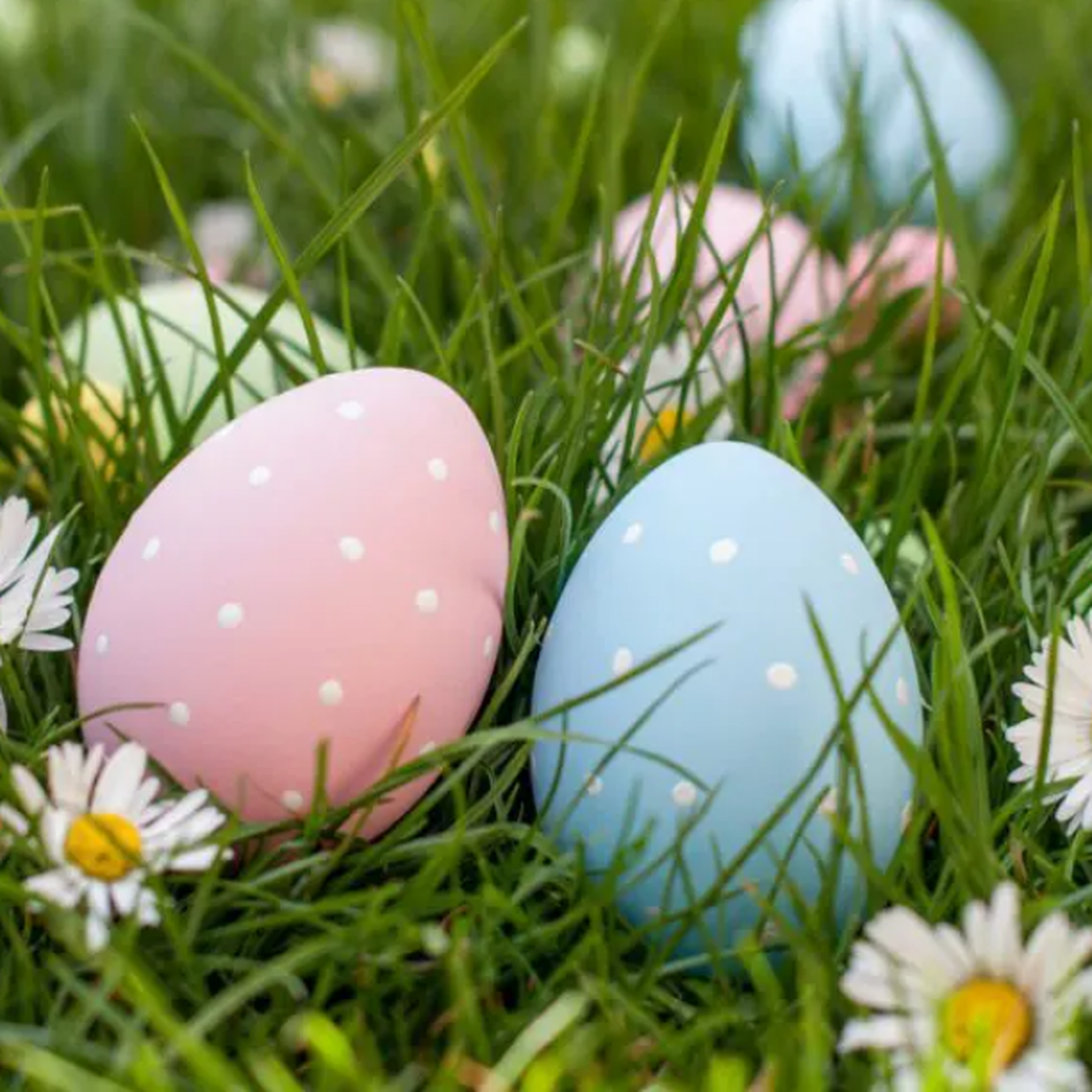 Colorful polka-dotted Easter eggs nestled in green grass with daisies scattered around.