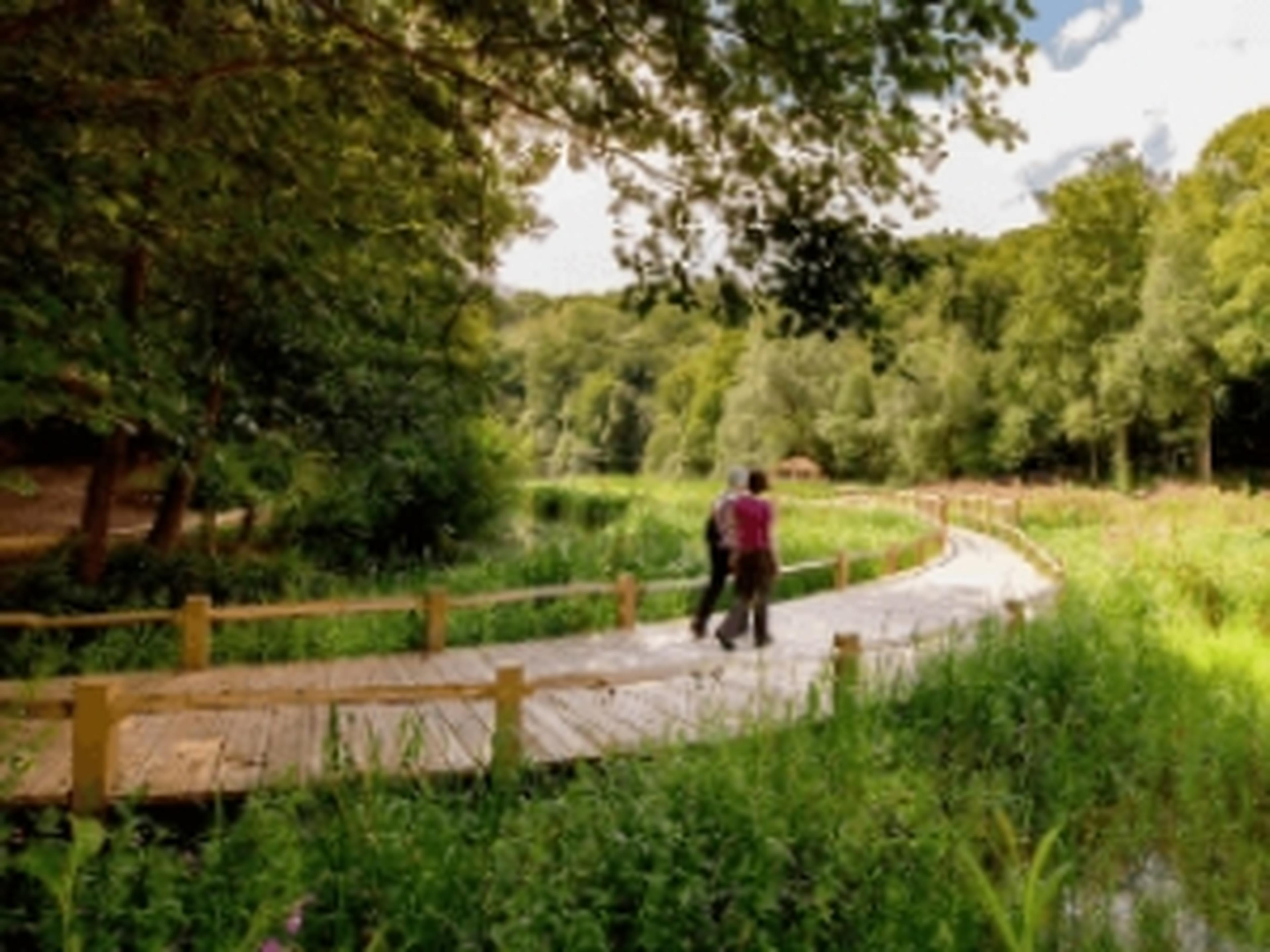 Couple walking on a pathway at Kew Gardens