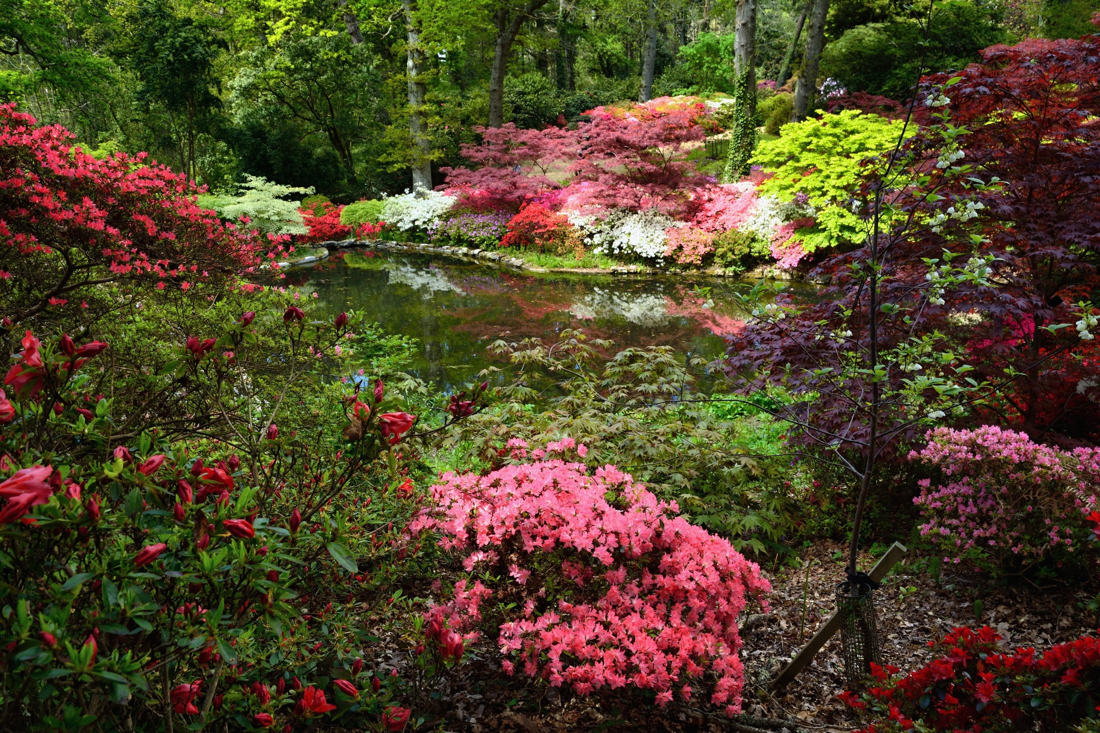 Exbury gardens