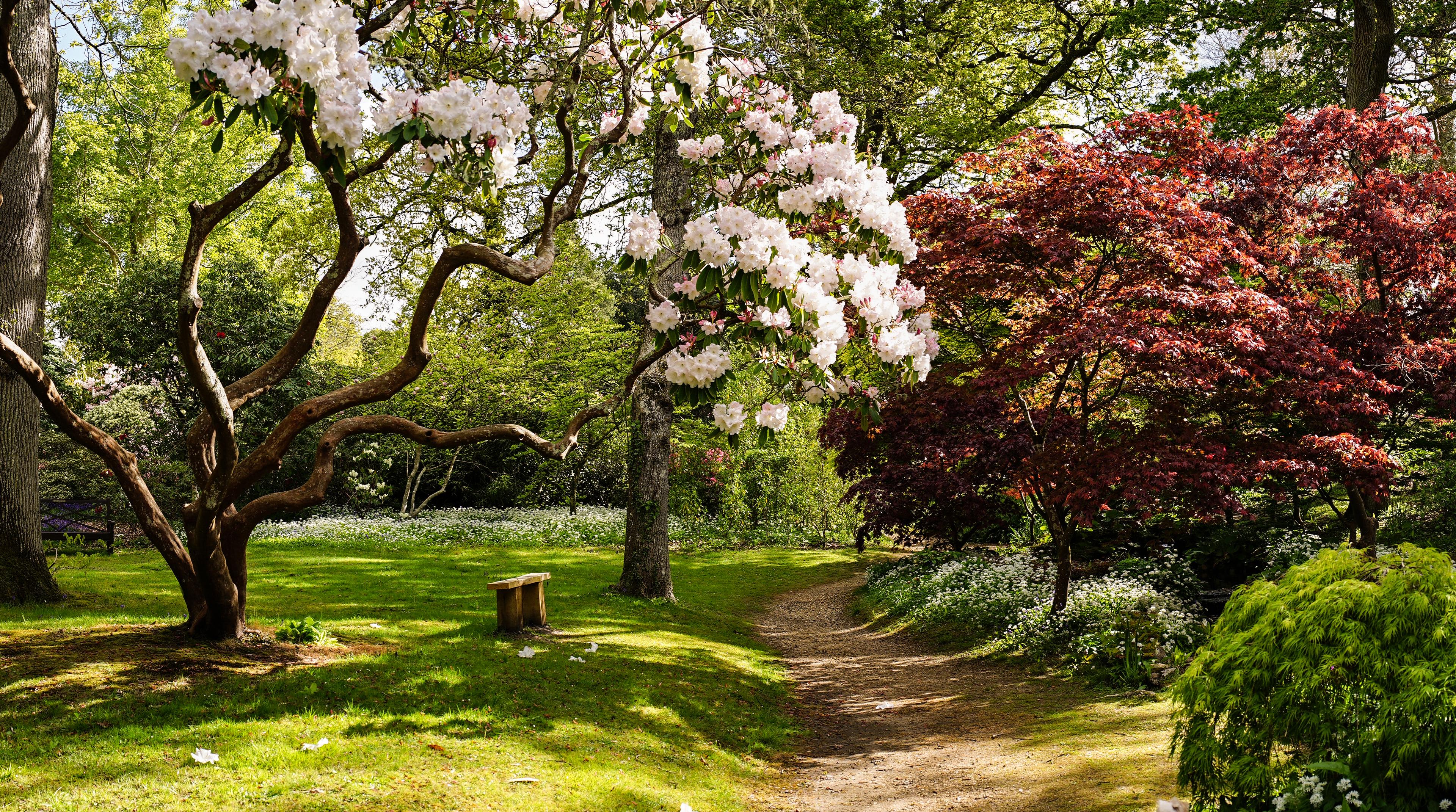 Exbury gardens