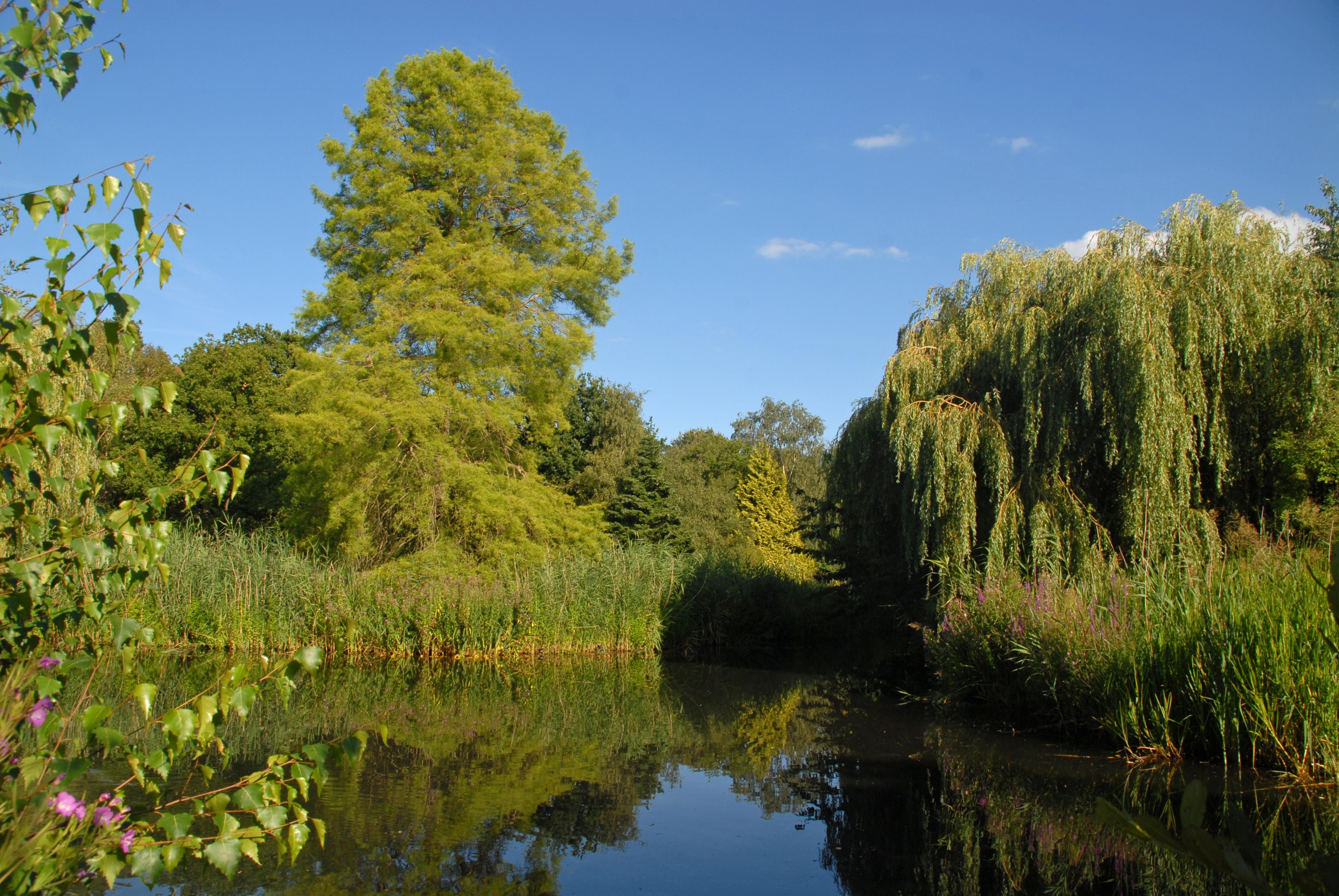 Pub Lunch at the Rose of York and visit to the Isabella Plantation