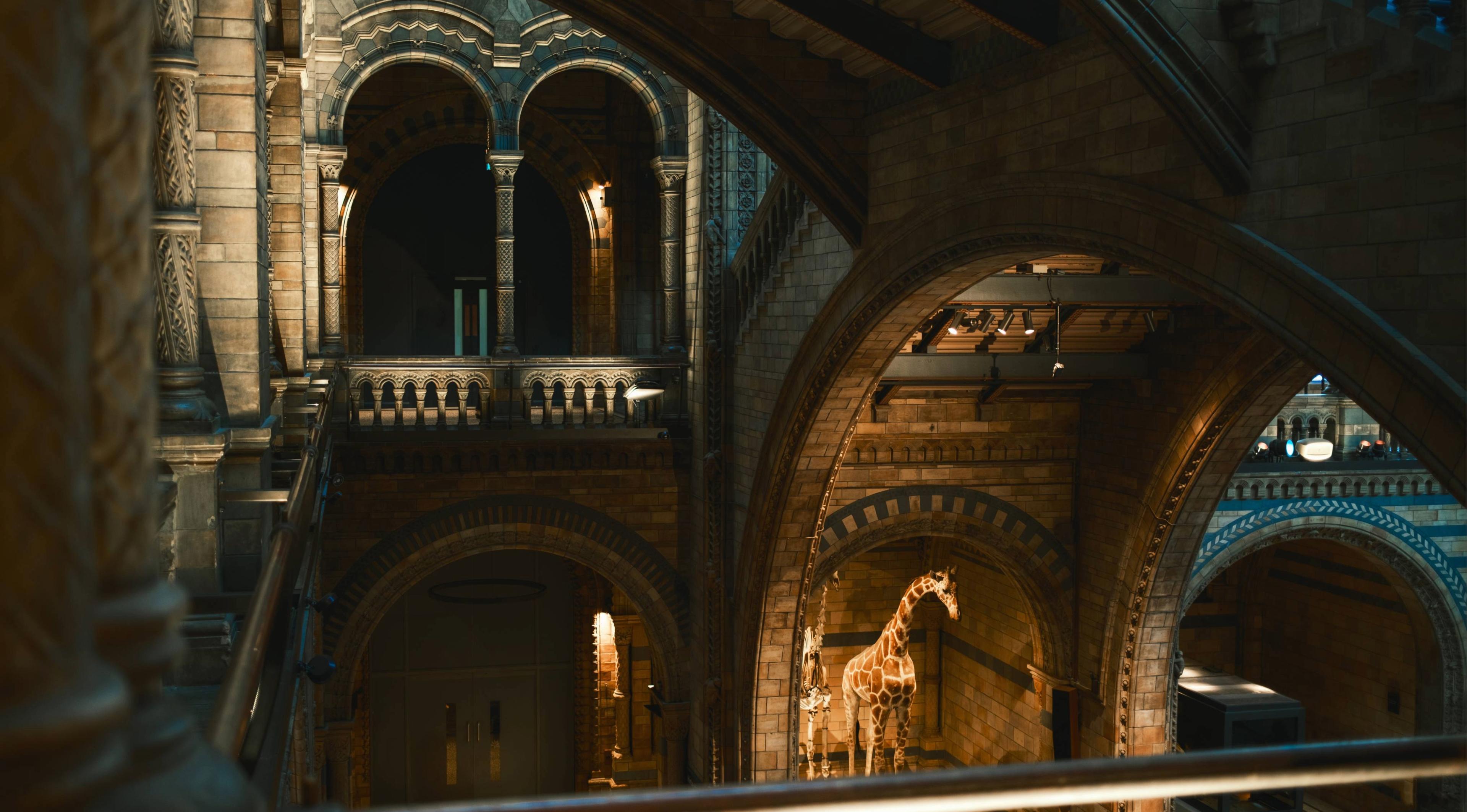 natural history museum