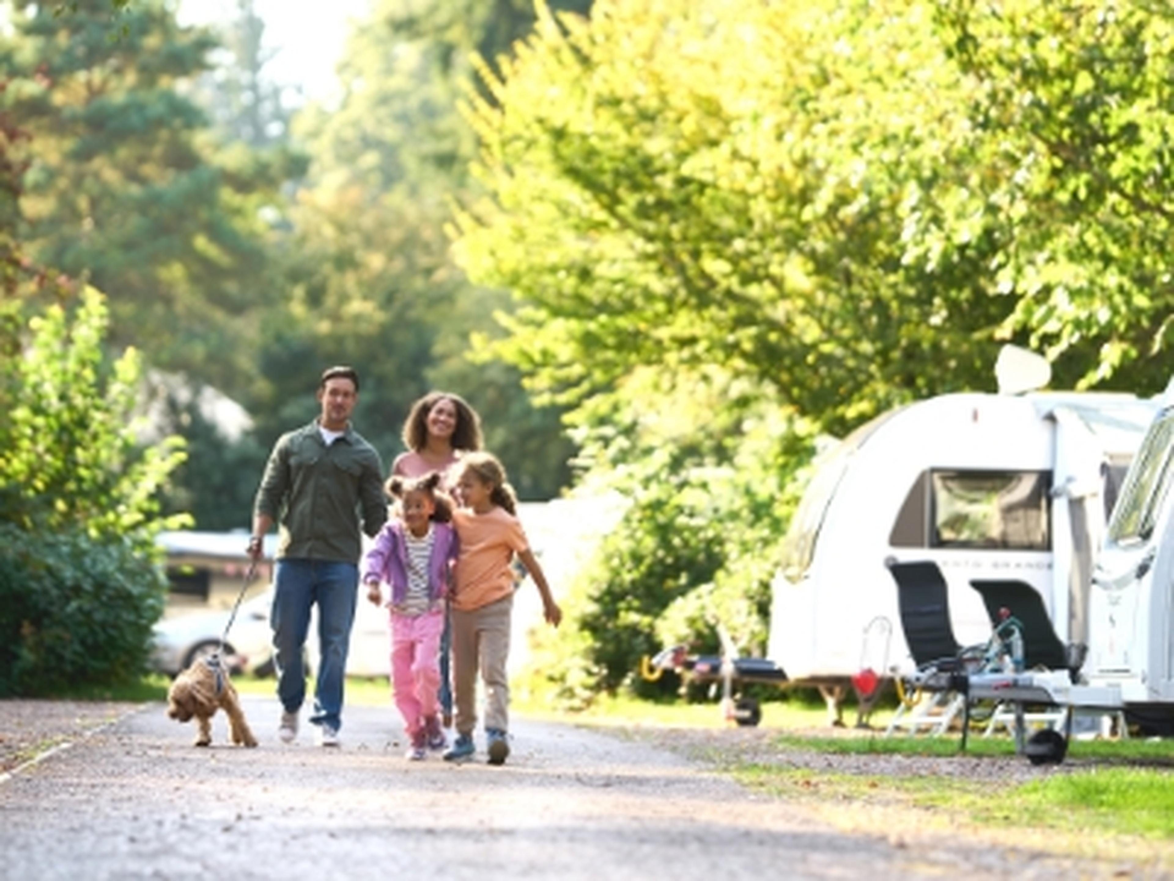 Caravan park at Whitemead Forest Park