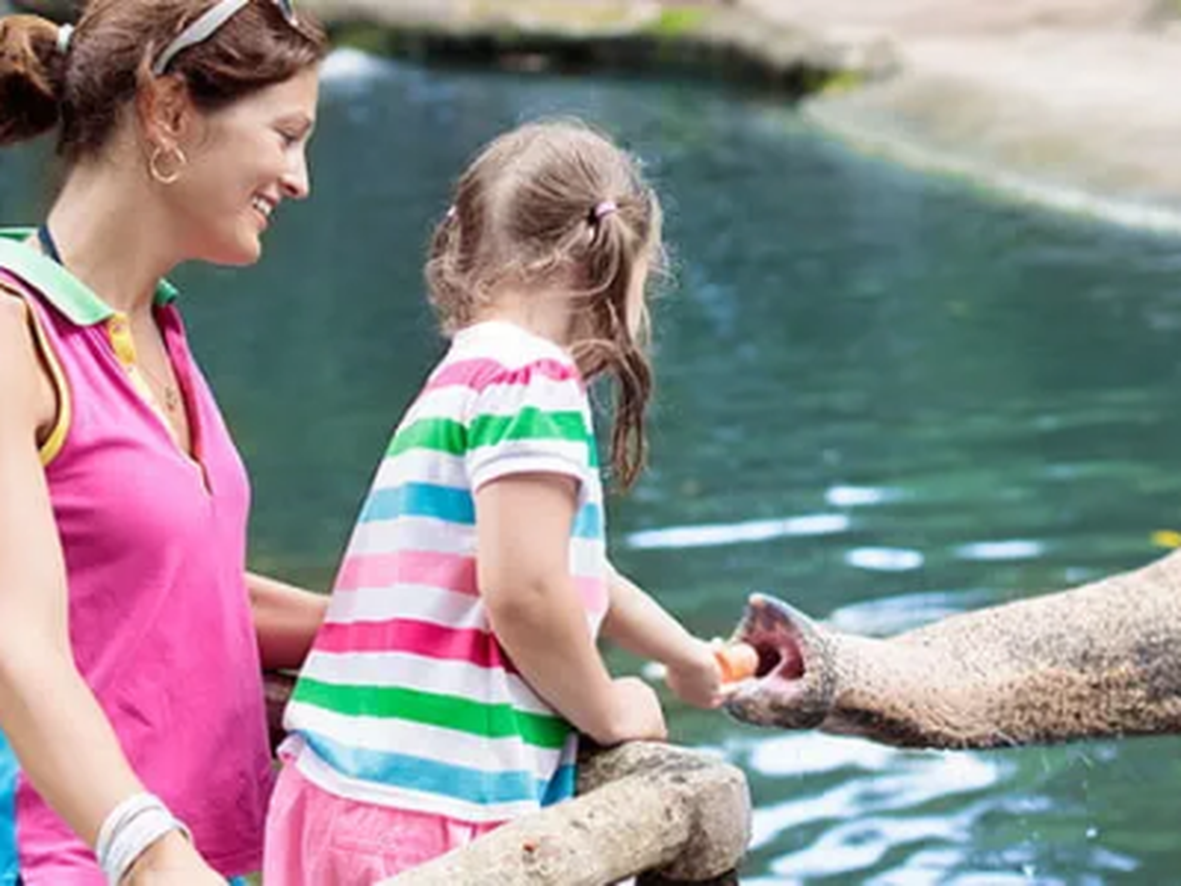 Woman and child feeding an elephant