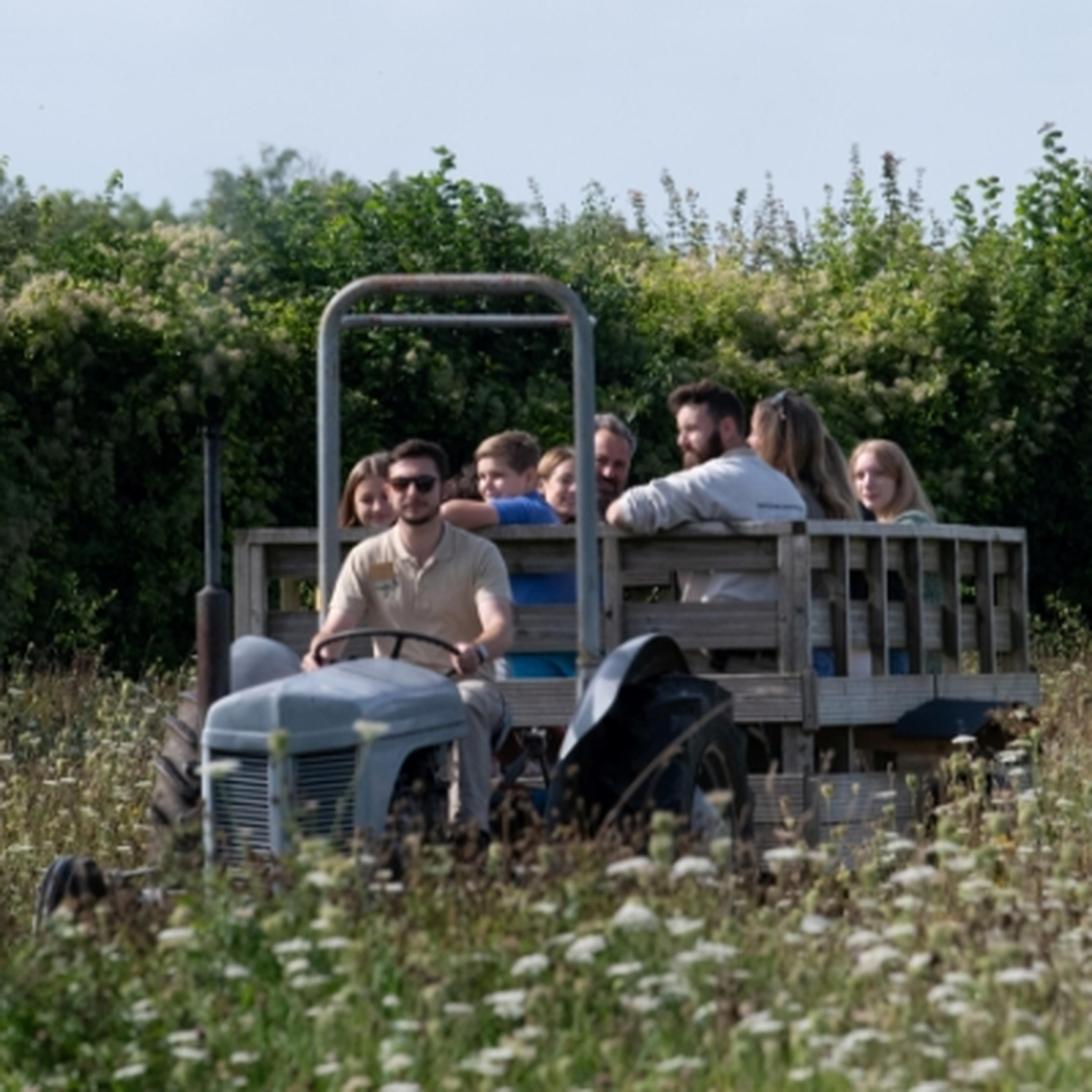 Tractor rides