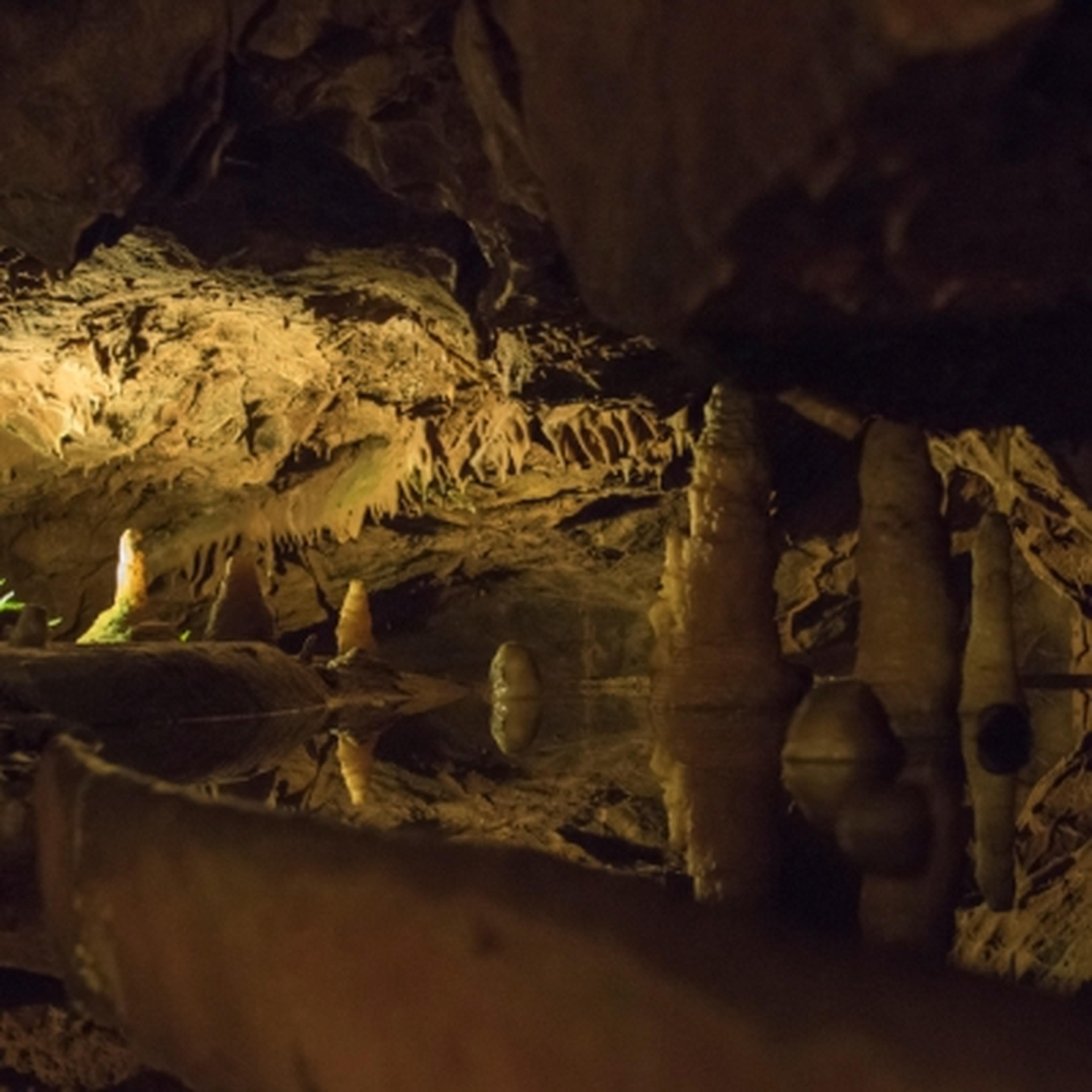 cavern interior within Gough's Cave