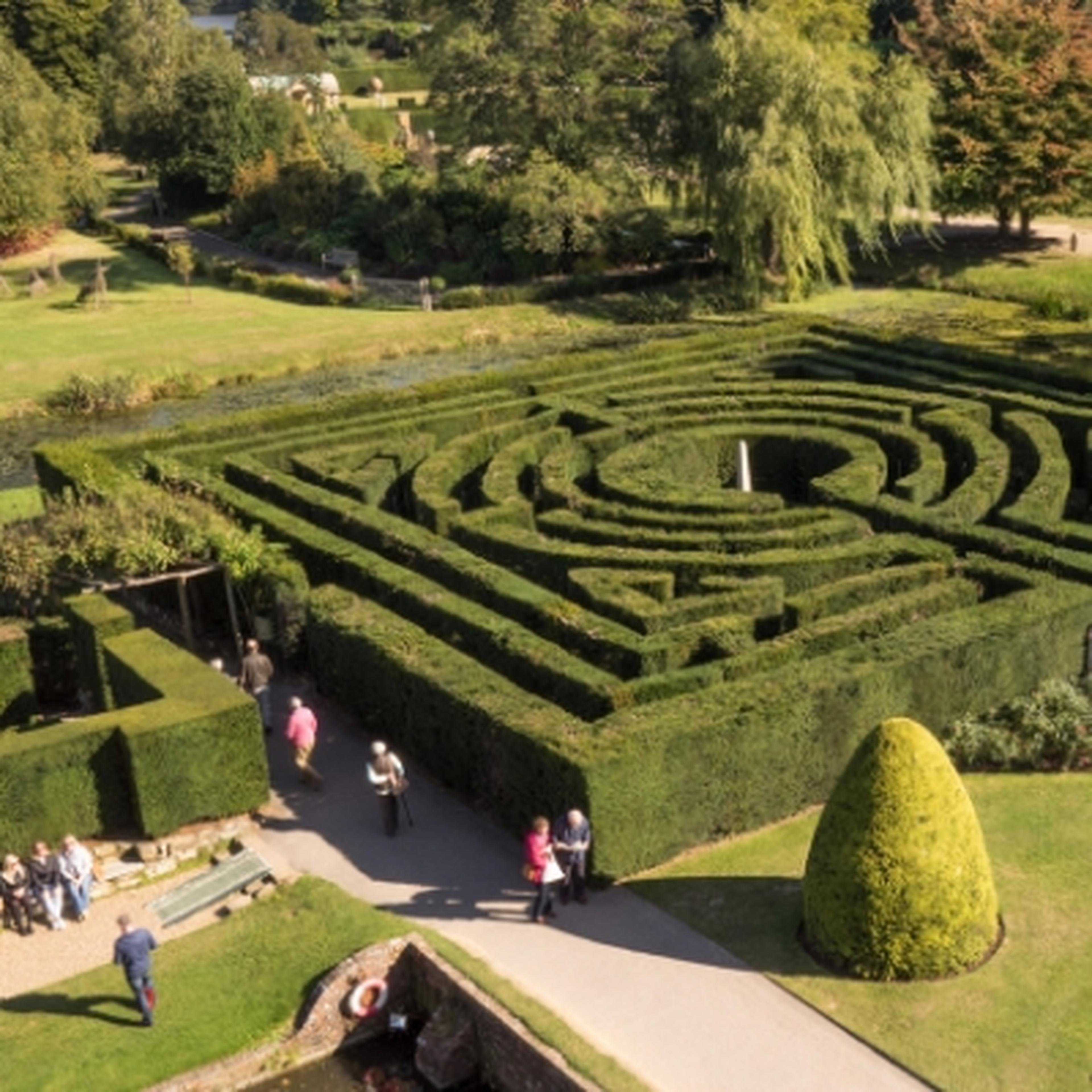 Hever Castle Yew maze