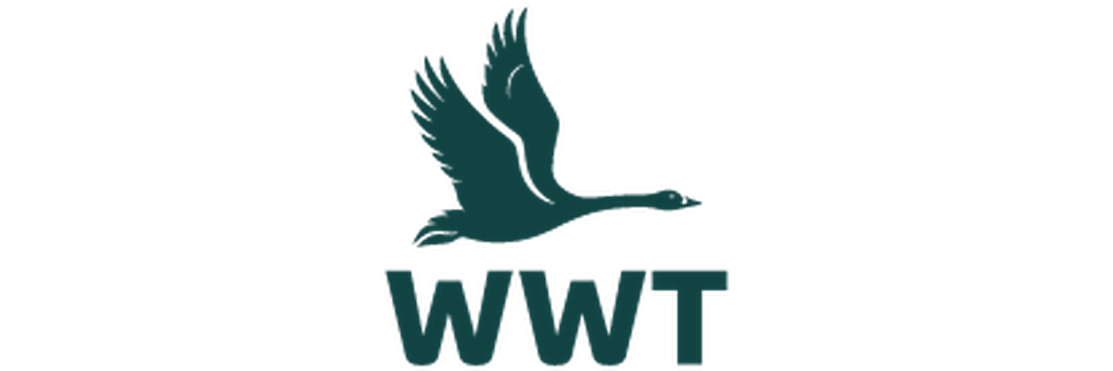 WWT