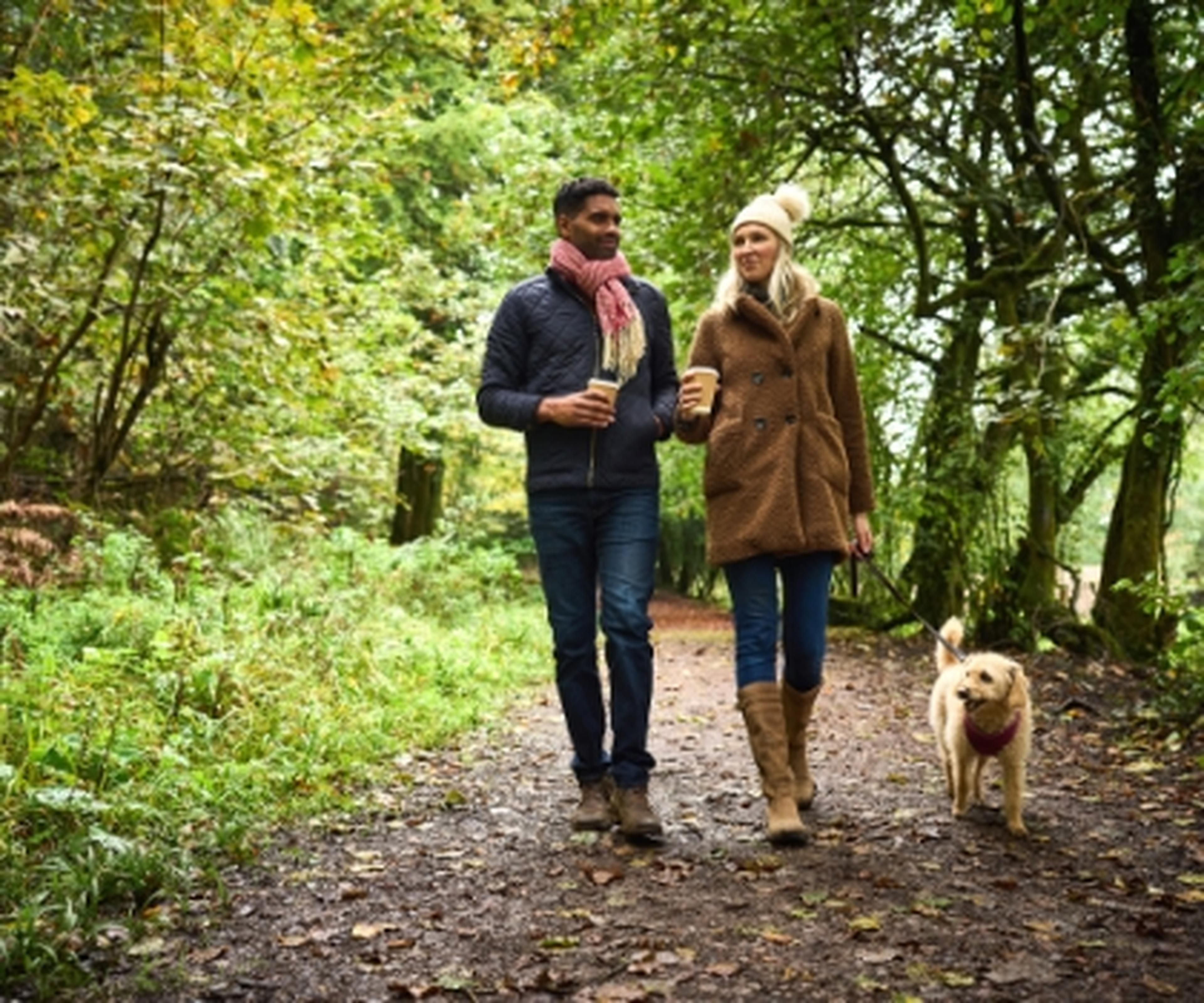 Couple walking in woods with dog