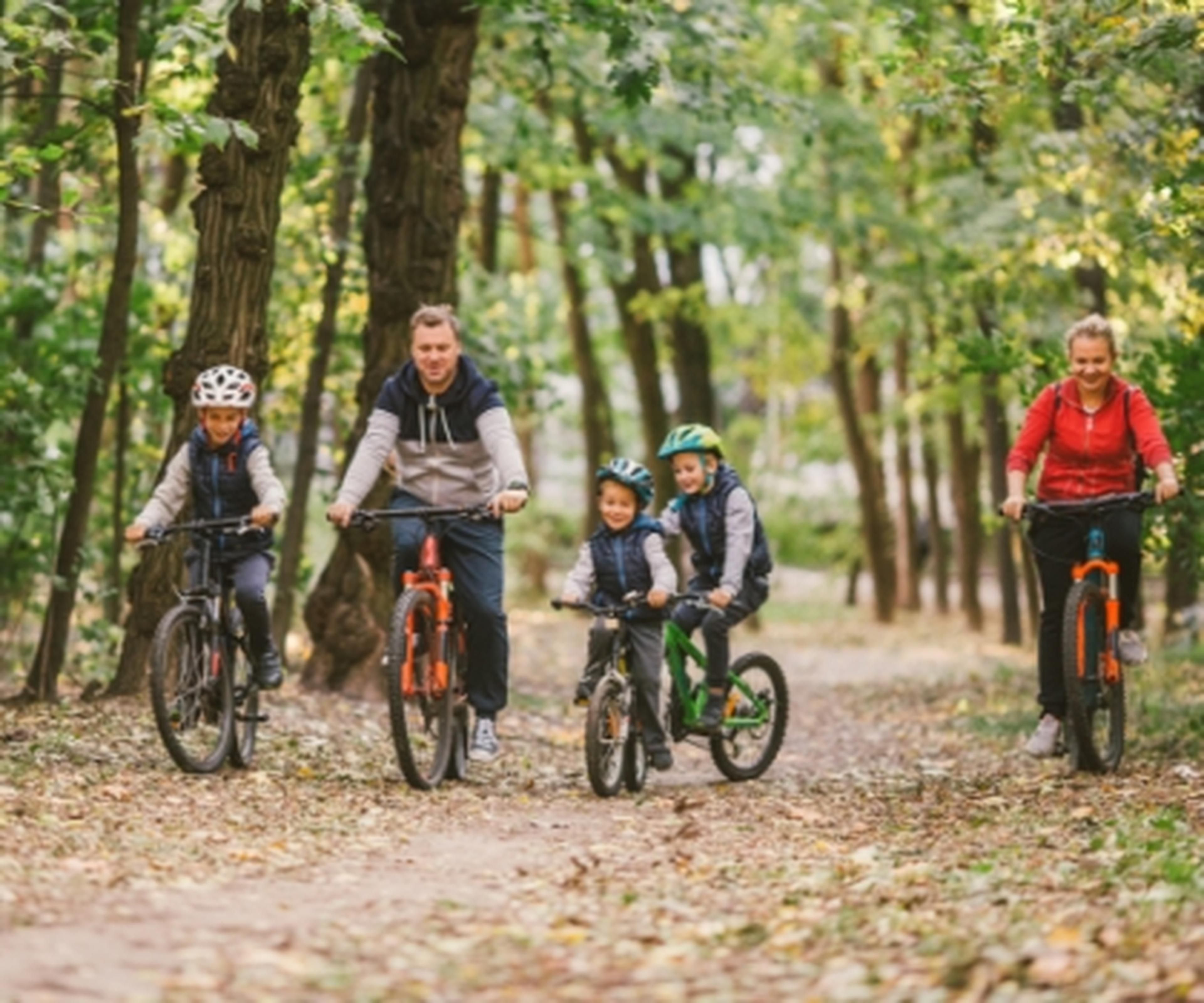 Family cycling in a forest