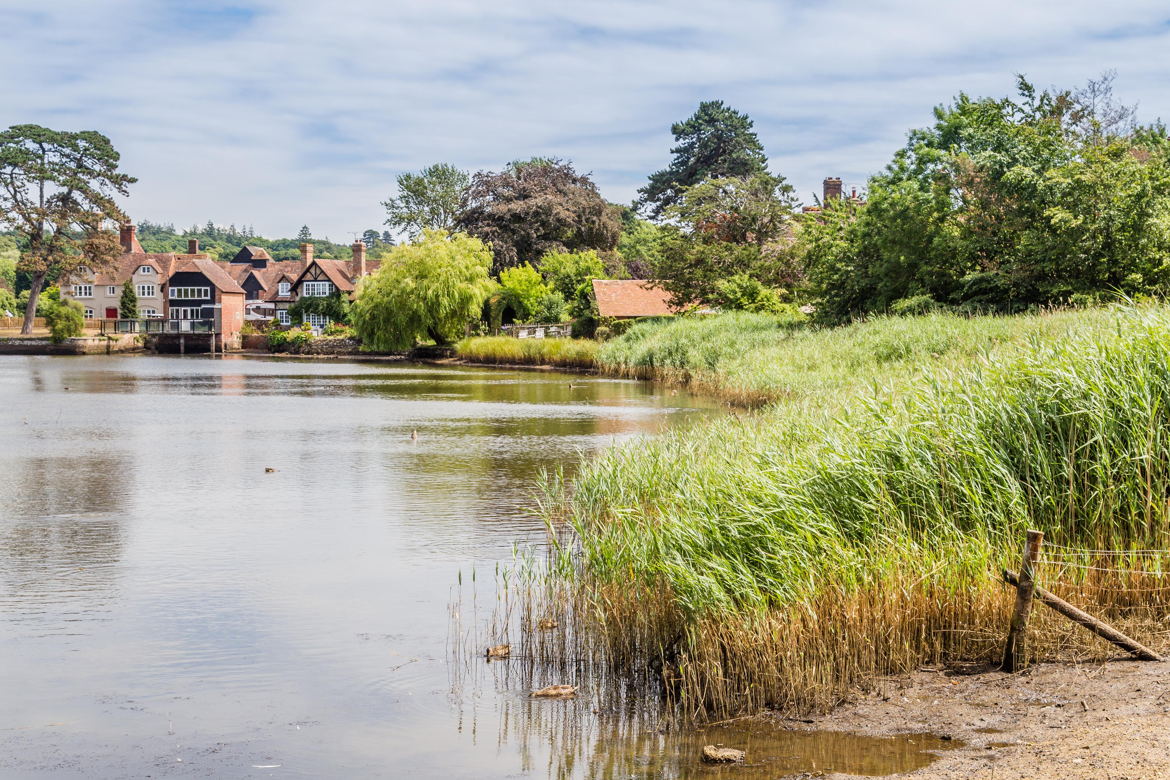 Tranquil lakeside scene with lush greenery, reeds, and charming houses under a partly cloudy sky.
