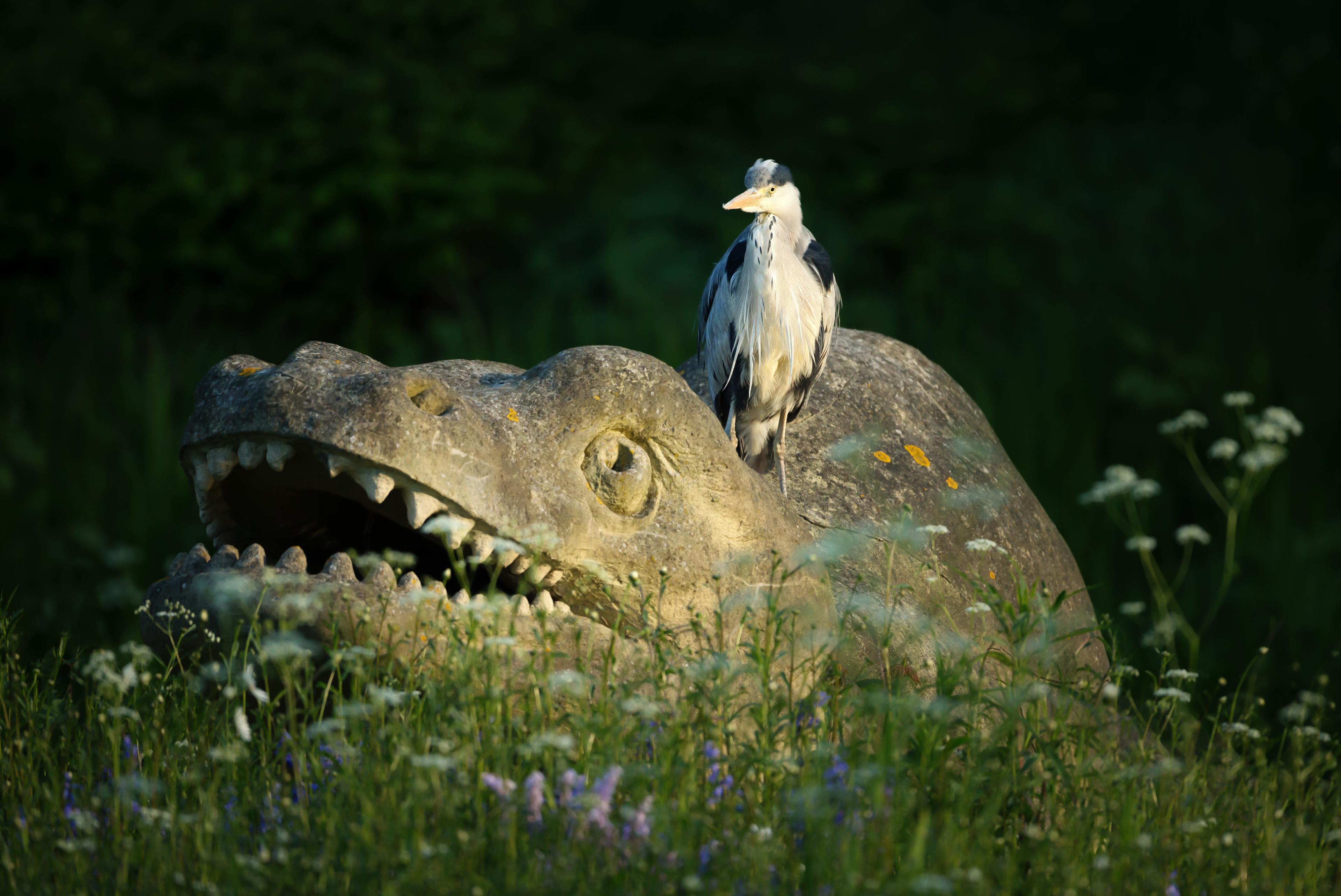 crystal park dinosaurs