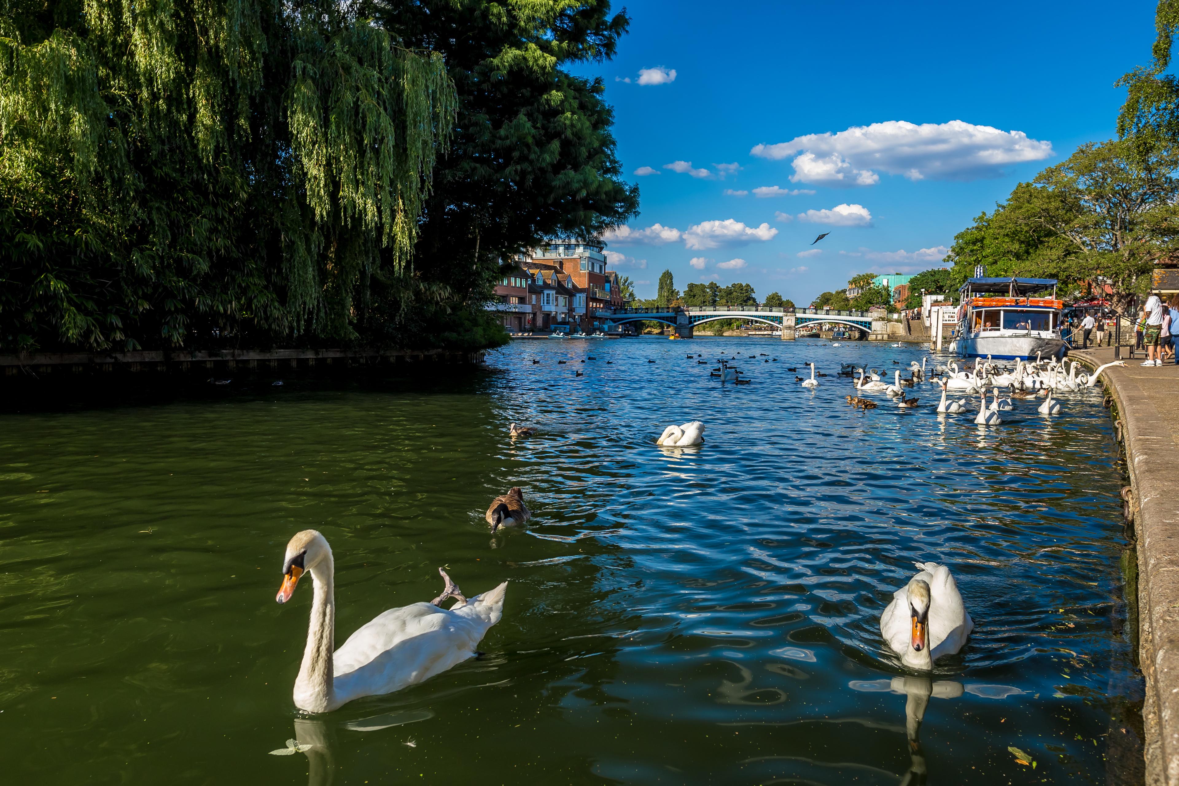 River thames