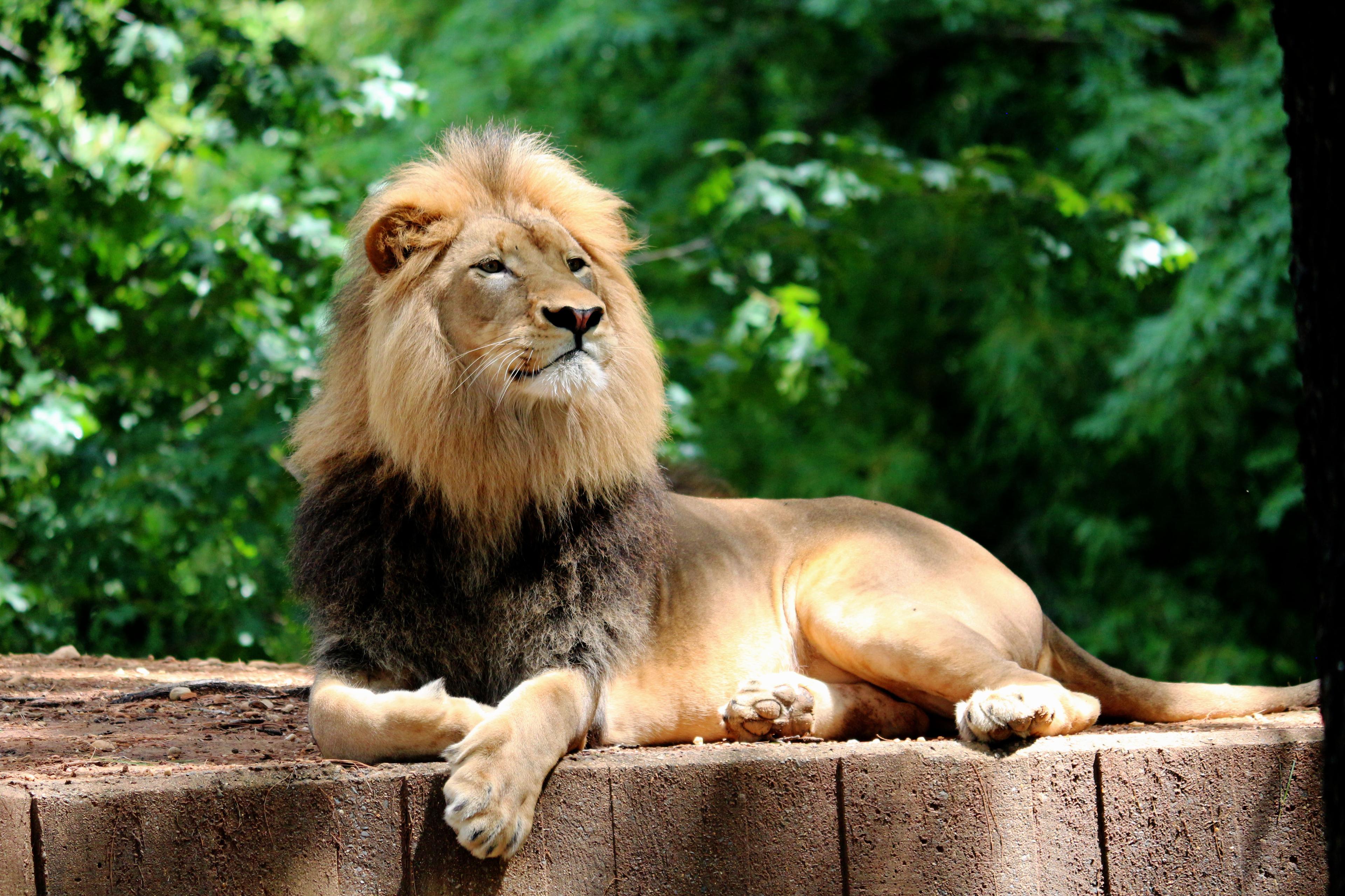 zoo