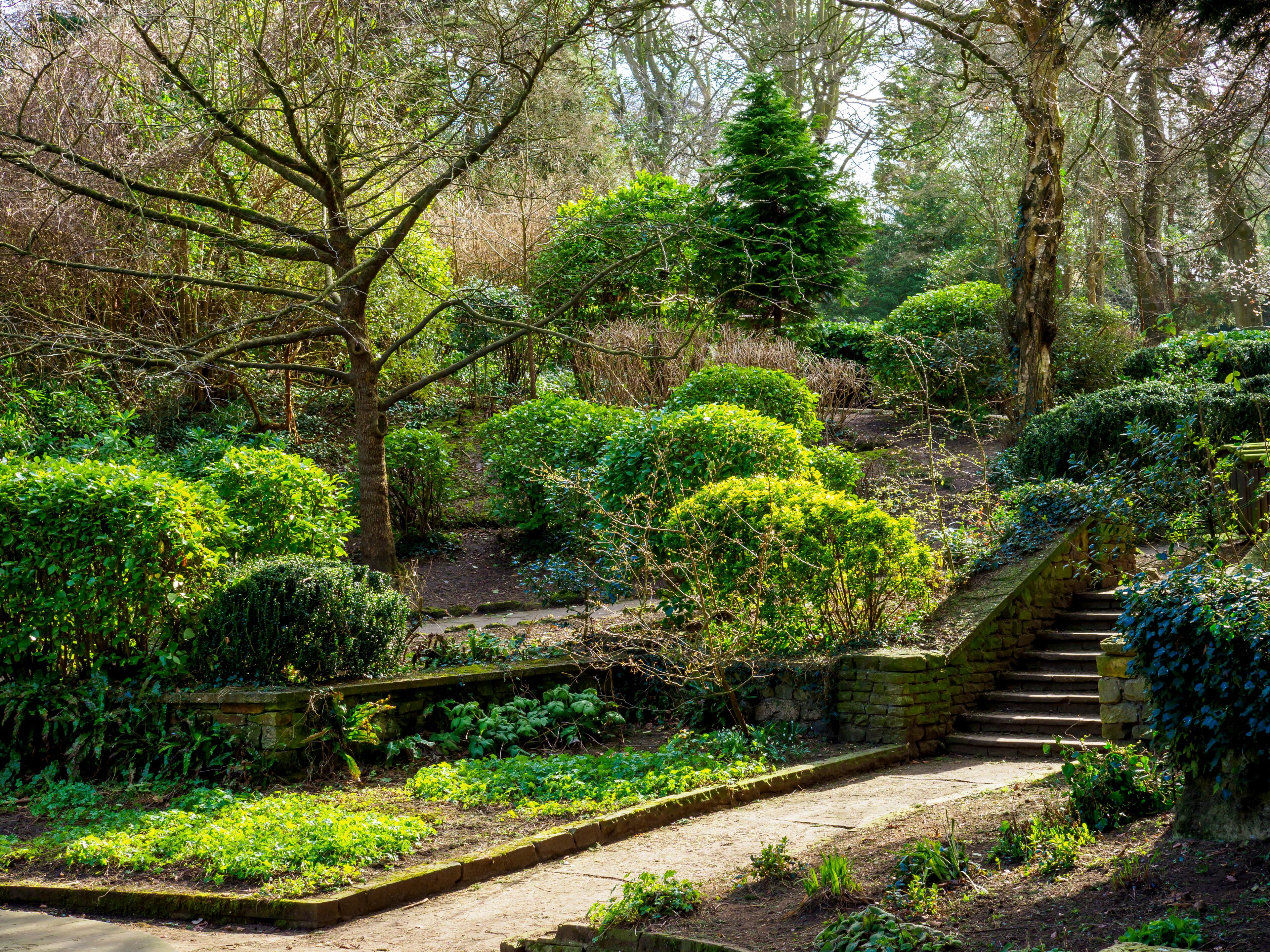 A lush garden with winding stone pathways, vibrant green bushes, tall trees, and a small staircase leading to a higher level, under sunny skies.
