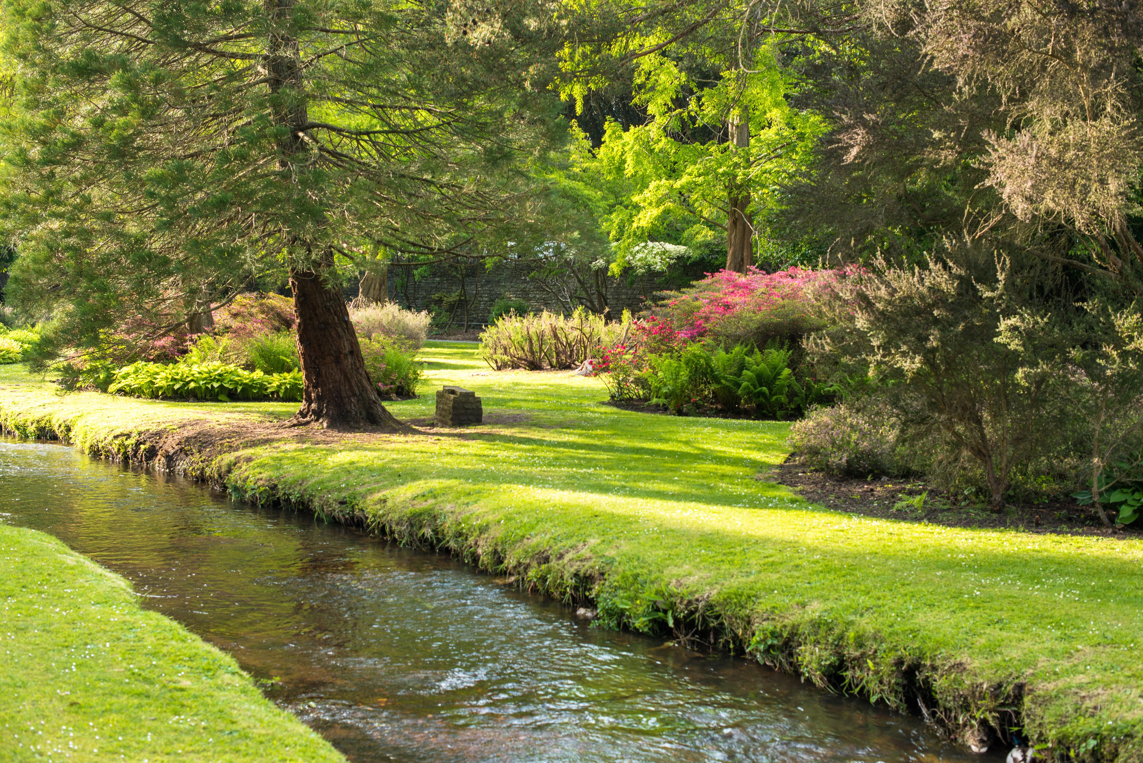 A serene garden scene with a flowing stream, lush green grass, tall trees, and colorful flowering shrubs in bright sunlight.