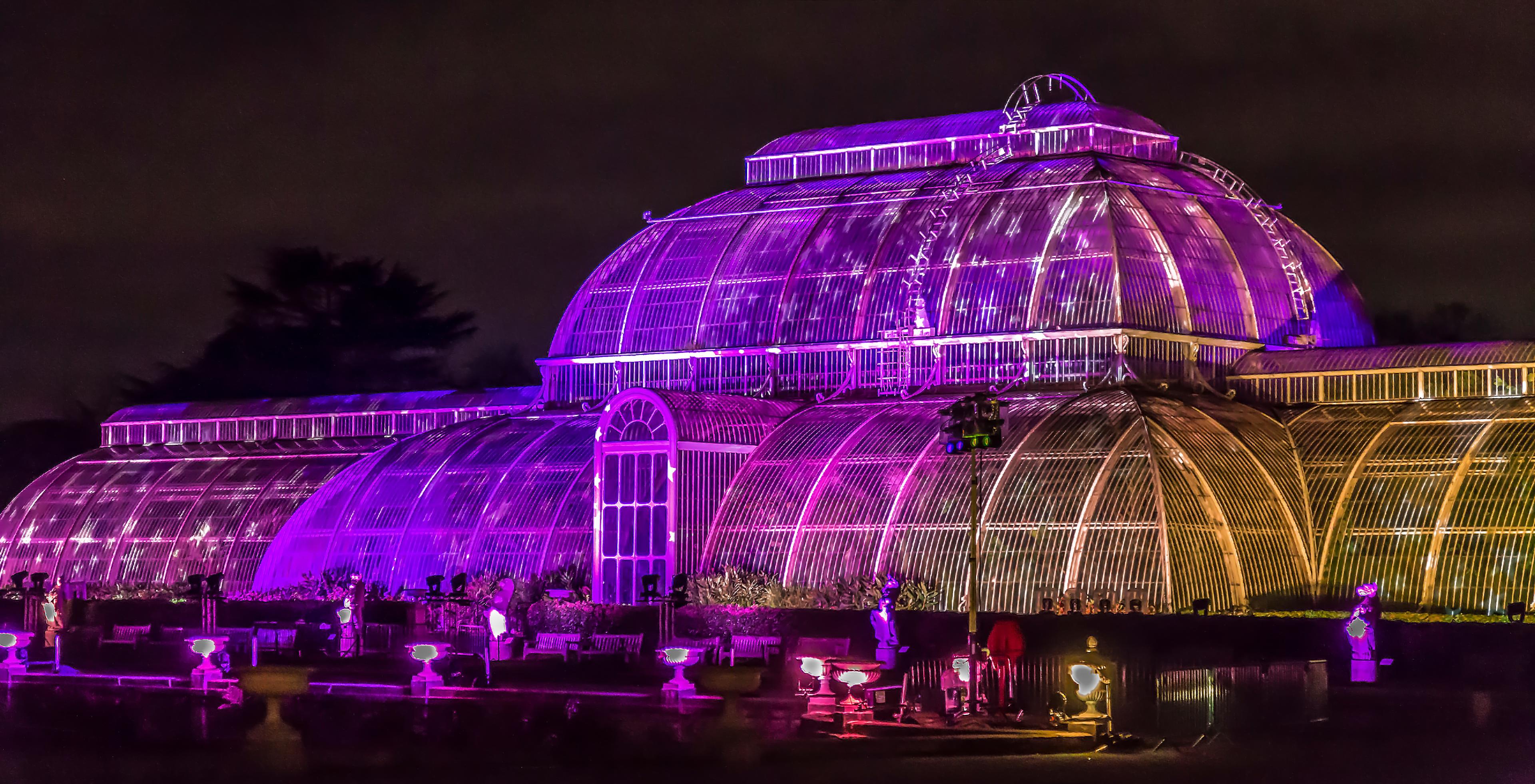 Christmas at Kew