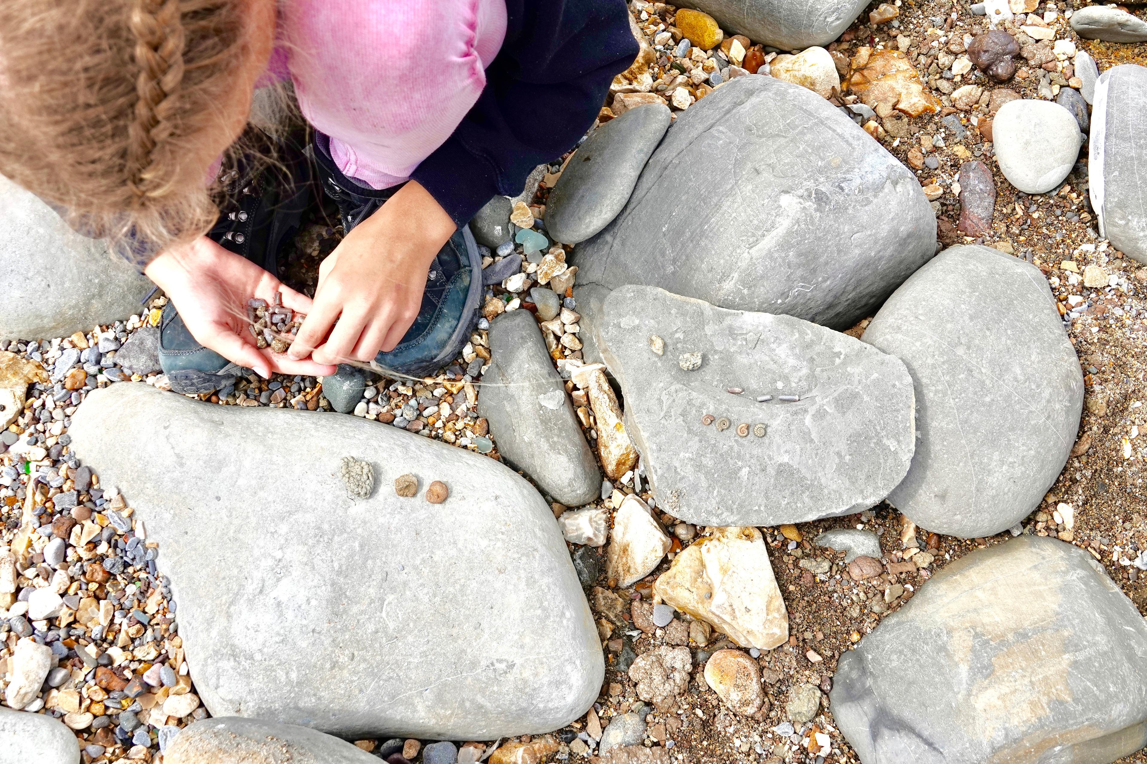 fossil hunting