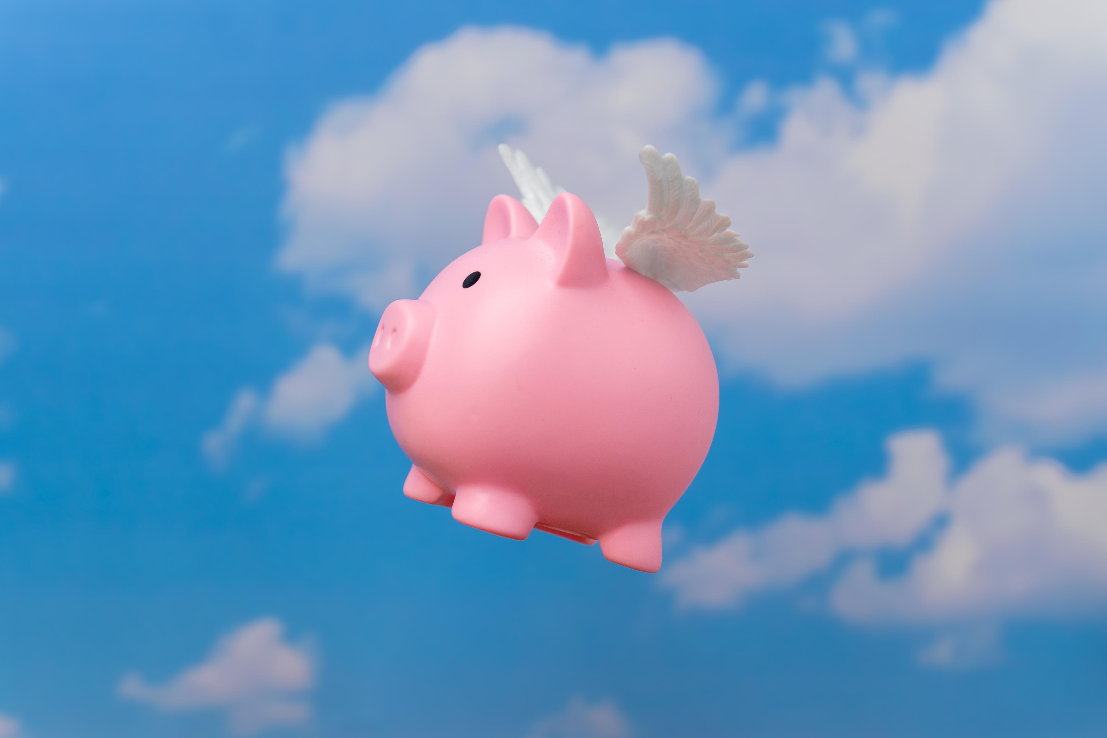 Champagne Breakfast and Flying Pigs