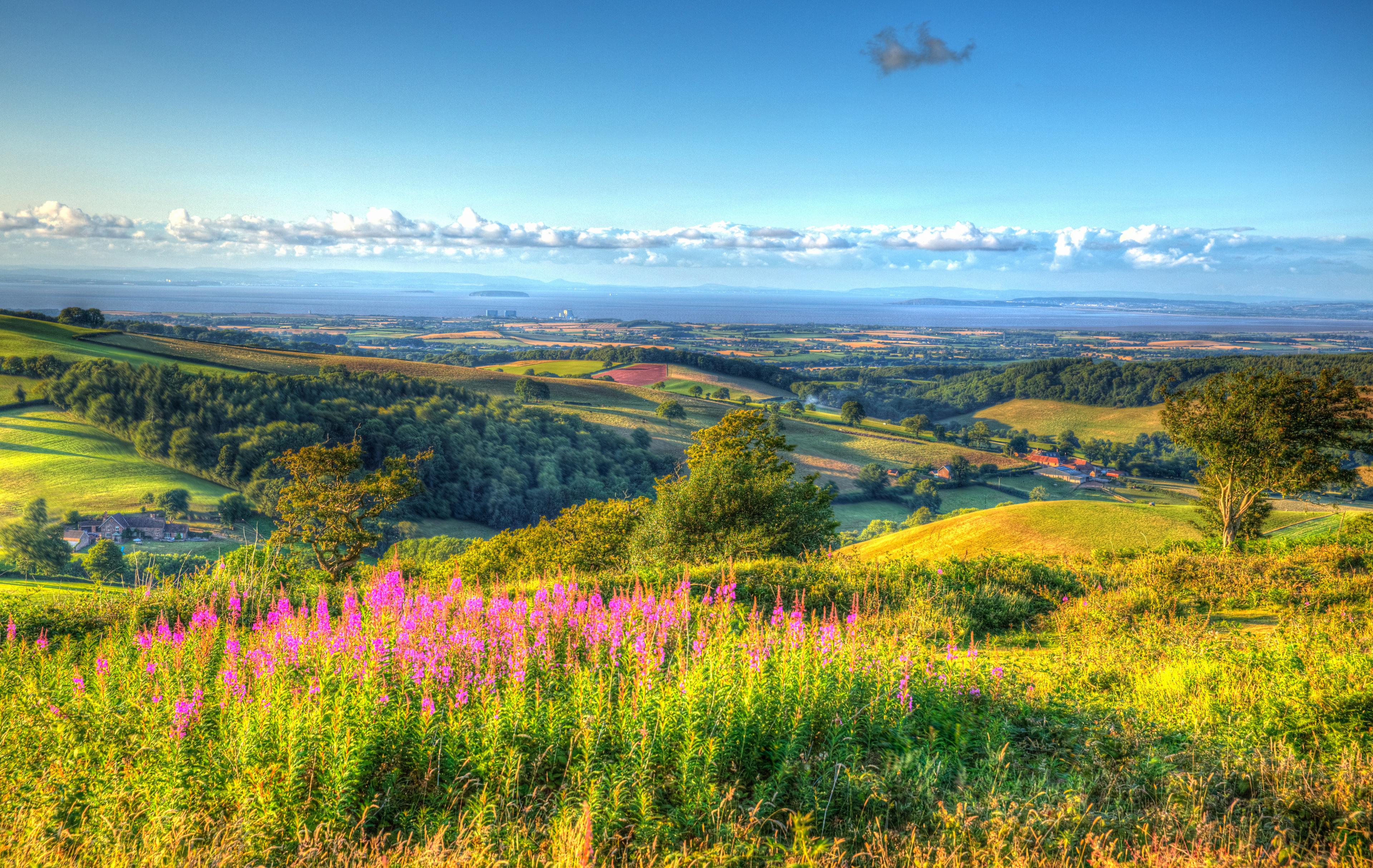 Somerset
