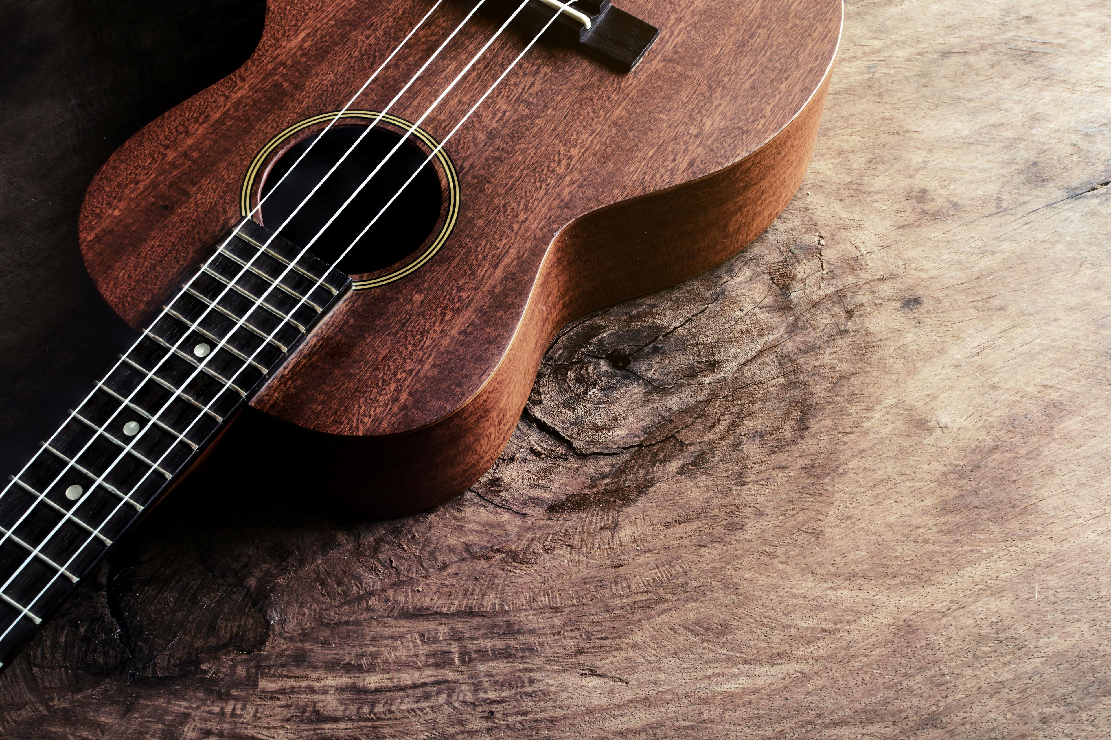 Talk on Ukeleles