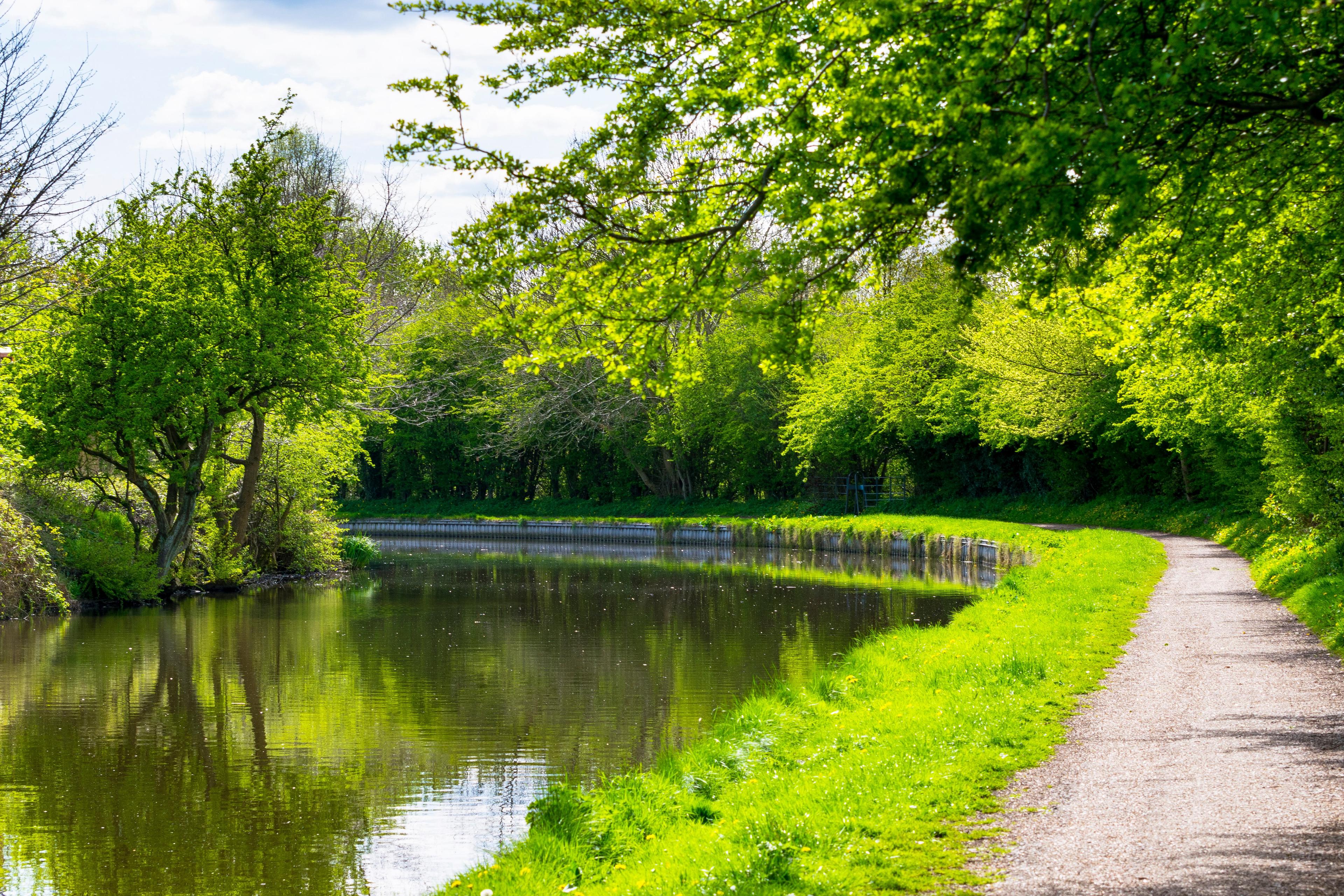 A tranquil riverside path lined with lush green trees and grass, reflecting in the calm water on a sunny day.