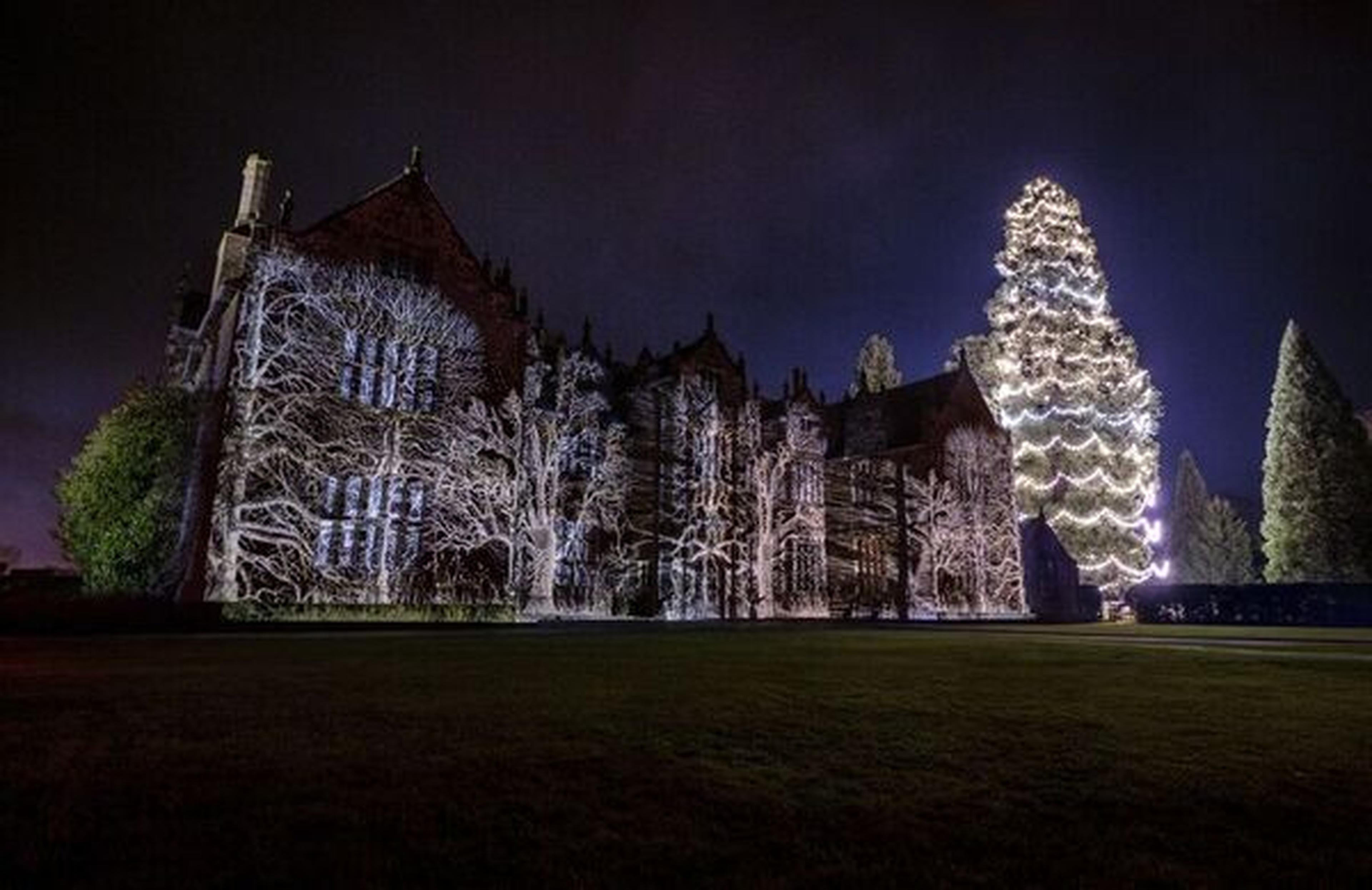 This photograph captures the illuminated Wakehurst Place Christmas tree and historic building during the Christmas at Kew light trail. The annual event transforms the gardens into a dazzling winter wonderland with elaborate light displays, seasonal music, and festive installations.