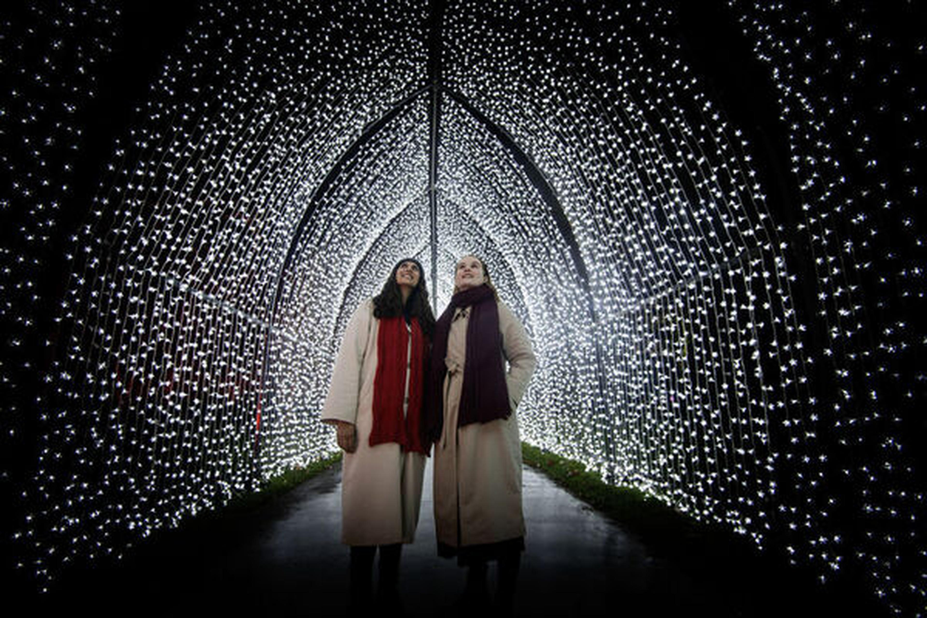 christmas at kew
