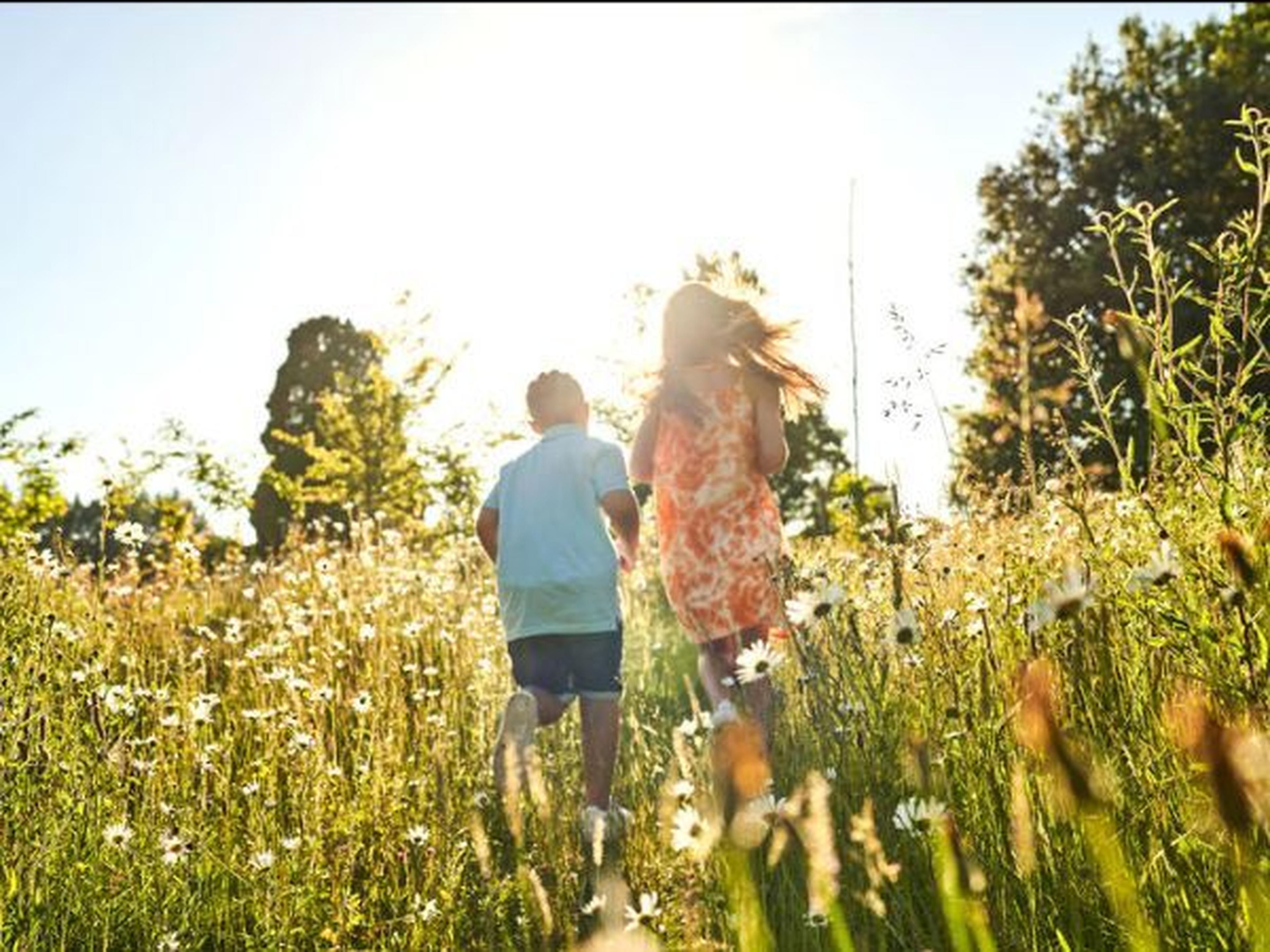 Two children joyfully run through a sunlit field of wildflowers, surrounded by greenery and trees under a bright blue sky.